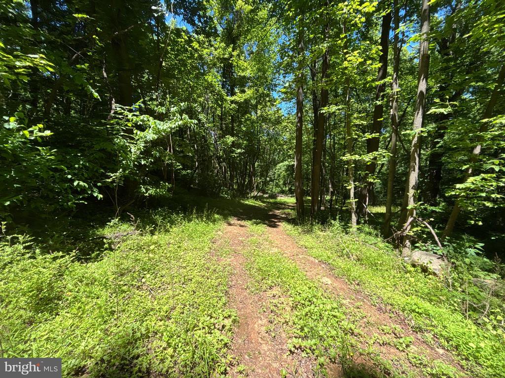 JORDAN HOLLOW RD, STANLEY, Virginia 22851, ,Farm,14,JORDAN HOLLOW RD,VAPA2006538 MLS # VAPA2006538 JORDAN HOLLOW RD, STANLEY, Virginia 22851, ,Farm,14,JORDAN HOLLOW RD,VAPA2006538 MLS # VAPA2006538