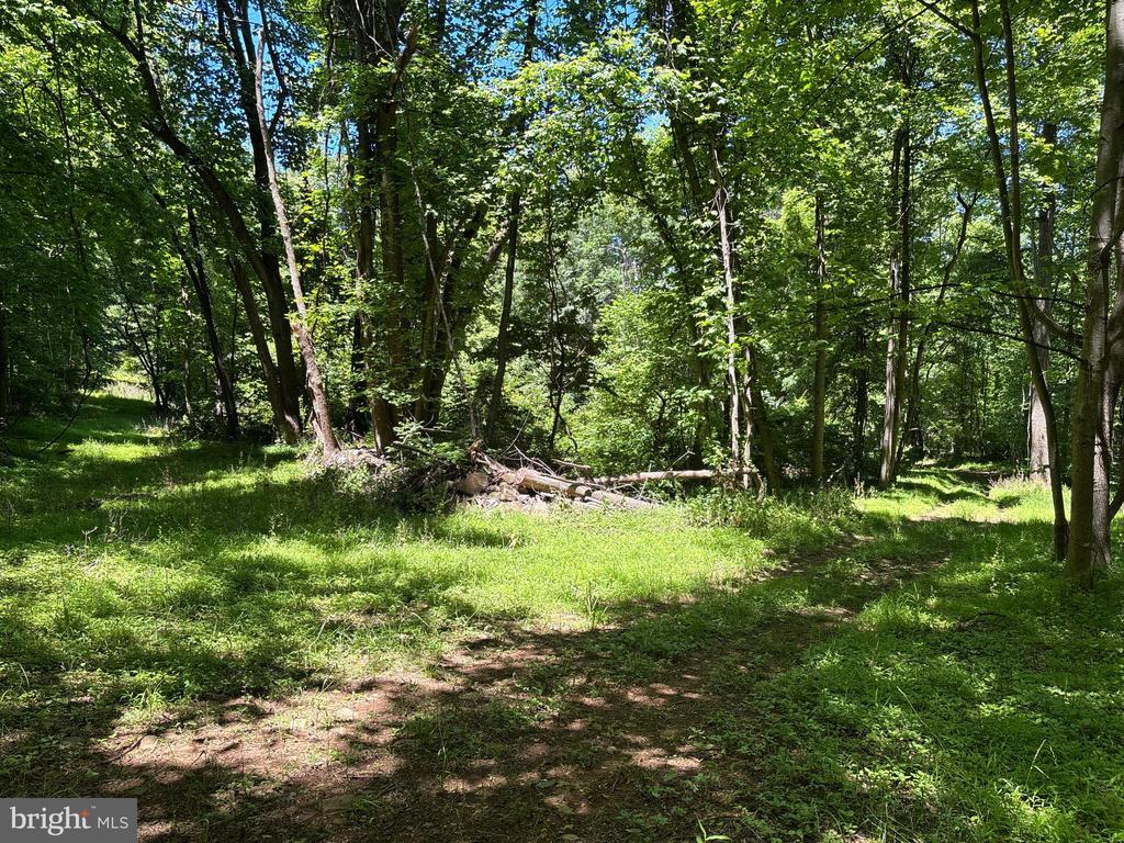 JORDAN HOLLOW RD, STANLEY, Virginia 22851, ,Farm,14,JORDAN HOLLOW RD,VAPA2006538 MLS # VAPA2006538 JORDAN HOLLOW RD, STANLEY, Virginia 22851, ,Farm,14,JORDAN HOLLOW RD,VAPA2006538 MLS # VAPA2006538
