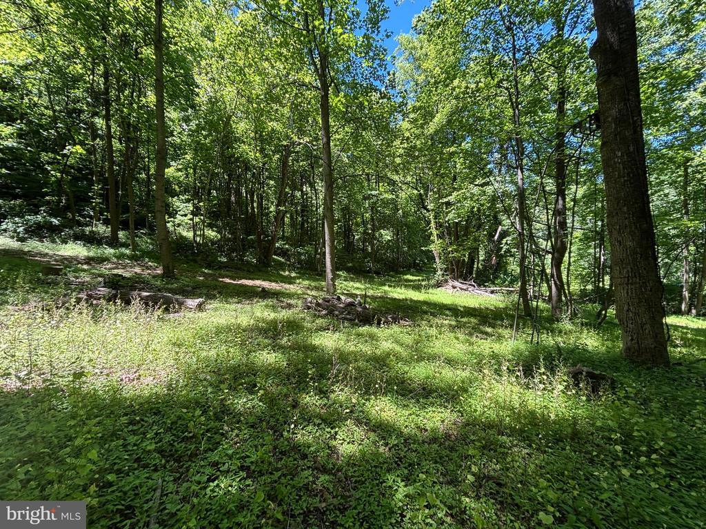JORDAN HOLLOW RD, STANLEY, Virginia 22851, ,Farm,14,JORDAN HOLLOW RD,VAPA2006538 MLS # VAPA2006538 JORDAN HOLLOW RD, STANLEY, Virginia 22851, ,Farm,14,JORDAN HOLLOW RD,VAPA2006538 MLS # VAPA2006538