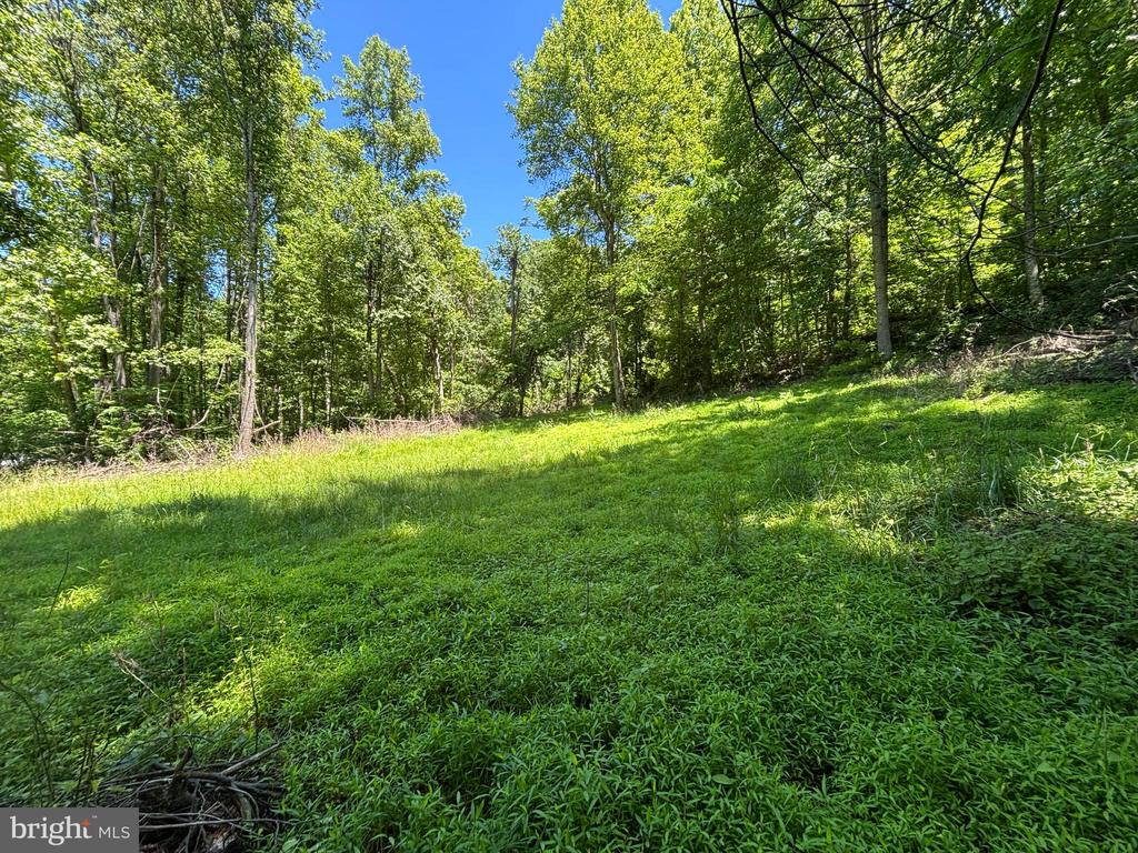 JORDAN HOLLOW RD, STANLEY, Virginia 22851, ,Farm,14,JORDAN HOLLOW RD,VAPA2006538 MLS # VAPA2006538 JORDAN HOLLOW RD, STANLEY, Virginia 22851, ,Farm,14,JORDAN HOLLOW RD,VAPA2006538 MLS # VAPA2006538