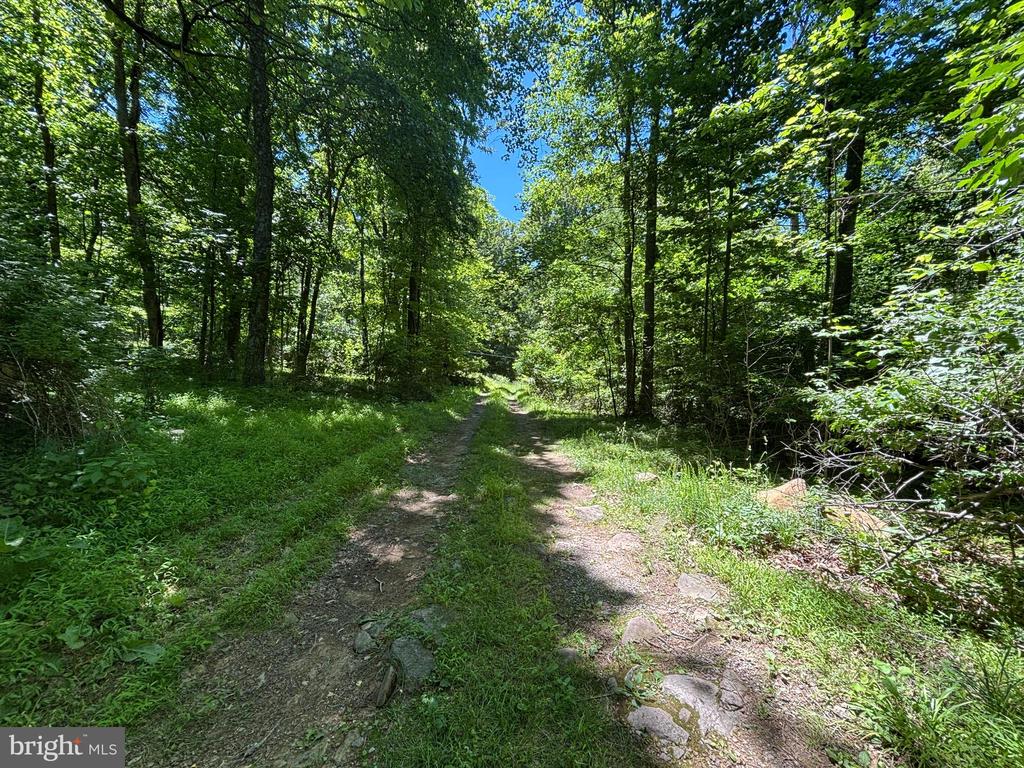 JORDAN HOLLOW RD, STANLEY, Virginia 22851, ,Farm,14,JORDAN HOLLOW RD,VAPA2006538 MLS # VAPA2006538 JORDAN HOLLOW RD, STANLEY, Virginia 22851, ,Farm,14,JORDAN HOLLOW RD,VAPA2006538 MLS # VAPA2006538