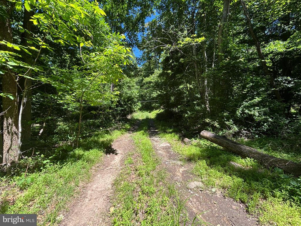 JORDAN HOLLOW RD, STANLEY, Virginia 22851, ,Farm,14,JORDAN HOLLOW RD,VAPA2006538 MLS # VAPA2006538 JORDAN HOLLOW RD, STANLEY, Virginia 22851, ,Farm,14,JORDAN HOLLOW RD,VAPA2006538 MLS # VAPA2006538