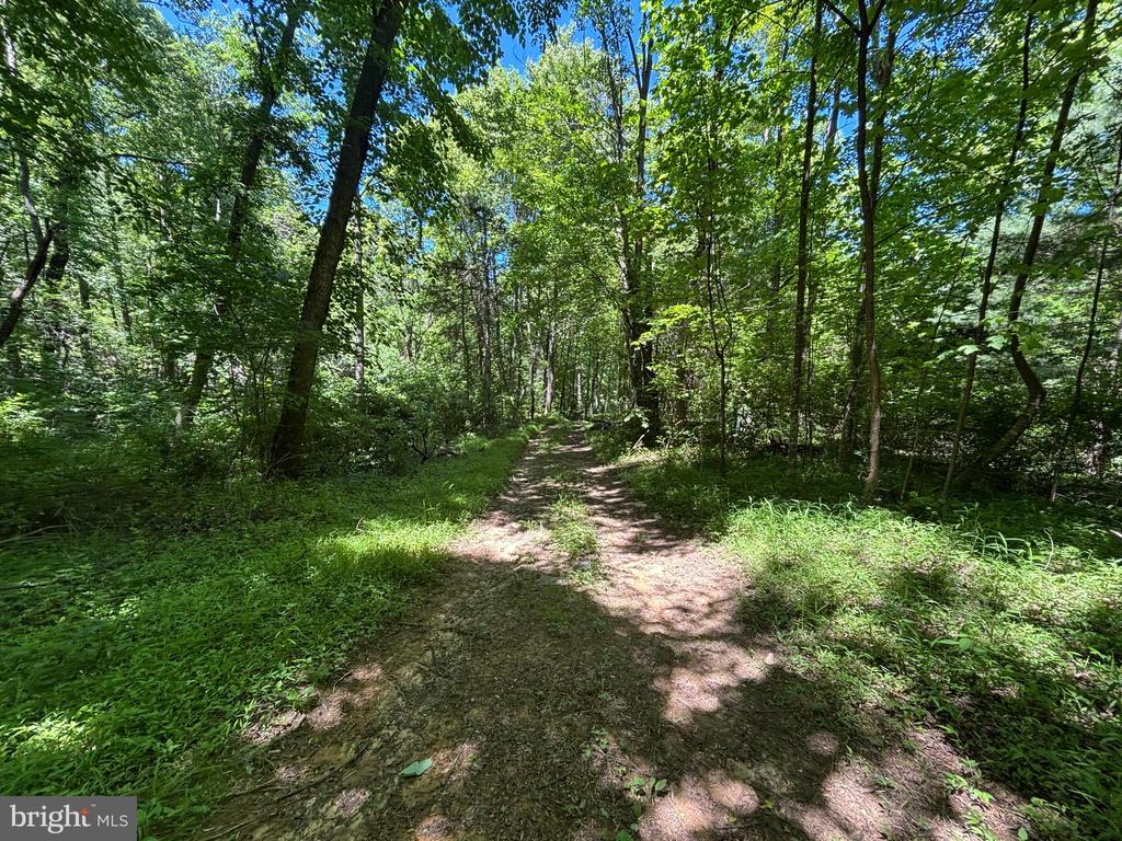 JORDAN HOLLOW RD, STANLEY, Virginia 22851, ,Farm,14,JORDAN HOLLOW RD,VAPA2006538 MLS # VAPA2006538 JORDAN HOLLOW RD, STANLEY, Virginia 22851, ,Farm,14,JORDAN HOLLOW RD,VAPA2006538 MLS # VAPA2006538