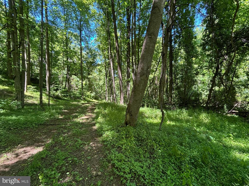 JORDAN HOLLOW RD, STANLEY, Virginia 22851, ,Farm,14,JORDAN HOLLOW RD,VAPA2006538 MLS # VAPA2006538 JORDAN HOLLOW RD, STANLEY, Virginia 22851, ,Farm,14,JORDAN HOLLOW RD,VAPA2006538 MLS # VAPA2006538