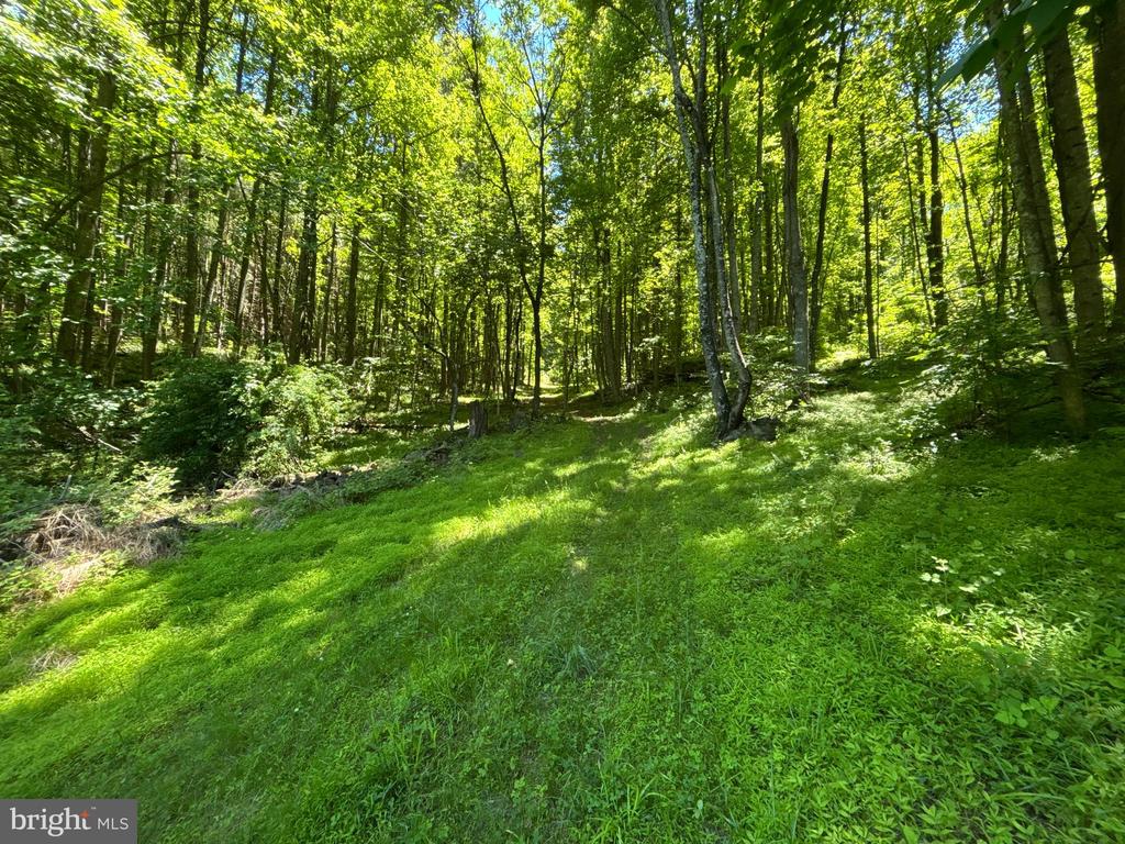 JORDAN HOLLOW RD, STANLEY, Virginia 22851, ,Farm,14,JORDAN HOLLOW RD,VAPA2006538 MLS # VAPA2006538 JORDAN HOLLOW RD, STANLEY, Virginia 22851, ,Farm,14,JORDAN HOLLOW RD,VAPA2006538 MLS # VAPA2006538