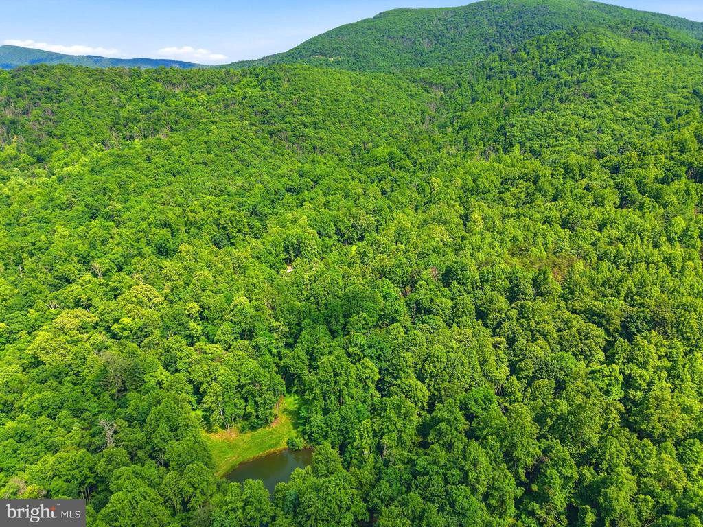 JORDAN HOLLOW RD, STANLEY, Virginia 22851, ,Farm,14,JORDAN HOLLOW RD,VAPA2006538 MLS # VAPA2006538 JORDAN HOLLOW RD, STANLEY, Virginia 22851, ,Farm,14,JORDAN HOLLOW RD,VAPA2006538 MLS # VAPA2006538