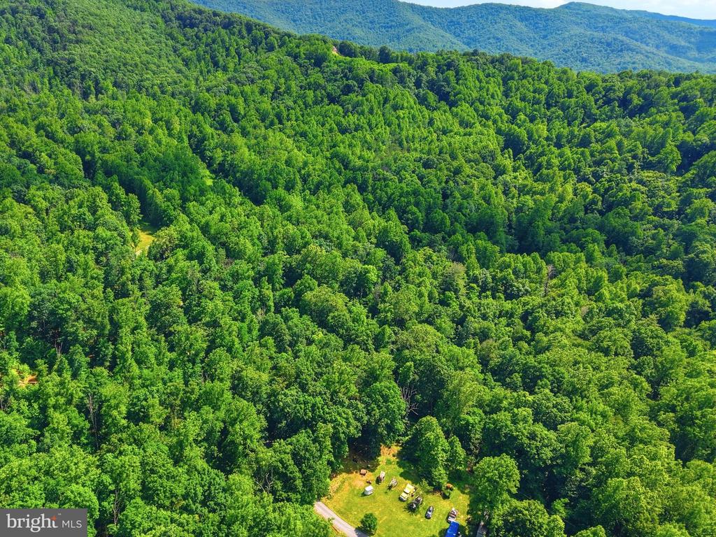 JORDAN HOLLOW RD, STANLEY, Virginia 22851, ,Farm,14,JORDAN HOLLOW RD,VAPA2006538 MLS # VAPA2006538 JORDAN HOLLOW RD, STANLEY, Virginia 22851, ,Farm,14,JORDAN HOLLOW RD,VAPA2006538 MLS # VAPA2006538