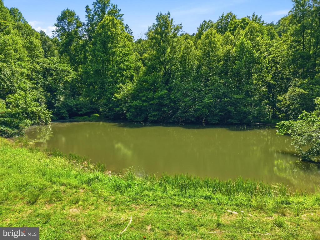 JORDAN HOLLOW RD, STANLEY, Virginia 22851, ,Farm,14,JORDAN HOLLOW RD,VAPA2006538 MLS # VAPA2006538 JORDAN HOLLOW RD, STANLEY, Virginia 22851, ,Farm,14,JORDAN HOLLOW RD,VAPA2006538 MLS # VAPA2006538
