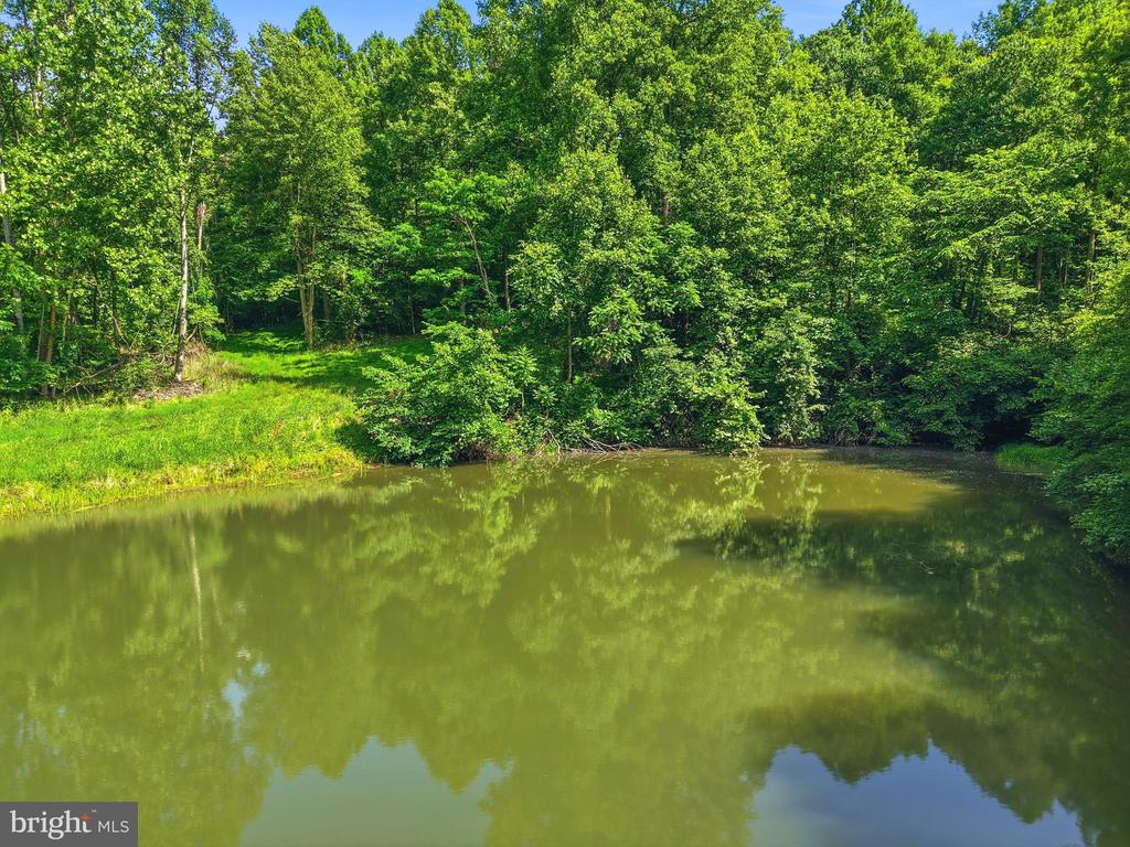 JORDAN HOLLOW RD, STANLEY, Virginia 22851, ,Farm,14,JORDAN HOLLOW RD,VAPA2006538 MLS # VAPA2006538 JORDAN HOLLOW RD, STANLEY, Virginia 22851, ,Farm,14,JORDAN HOLLOW RD,VAPA2006538 MLS # VAPA2006538
