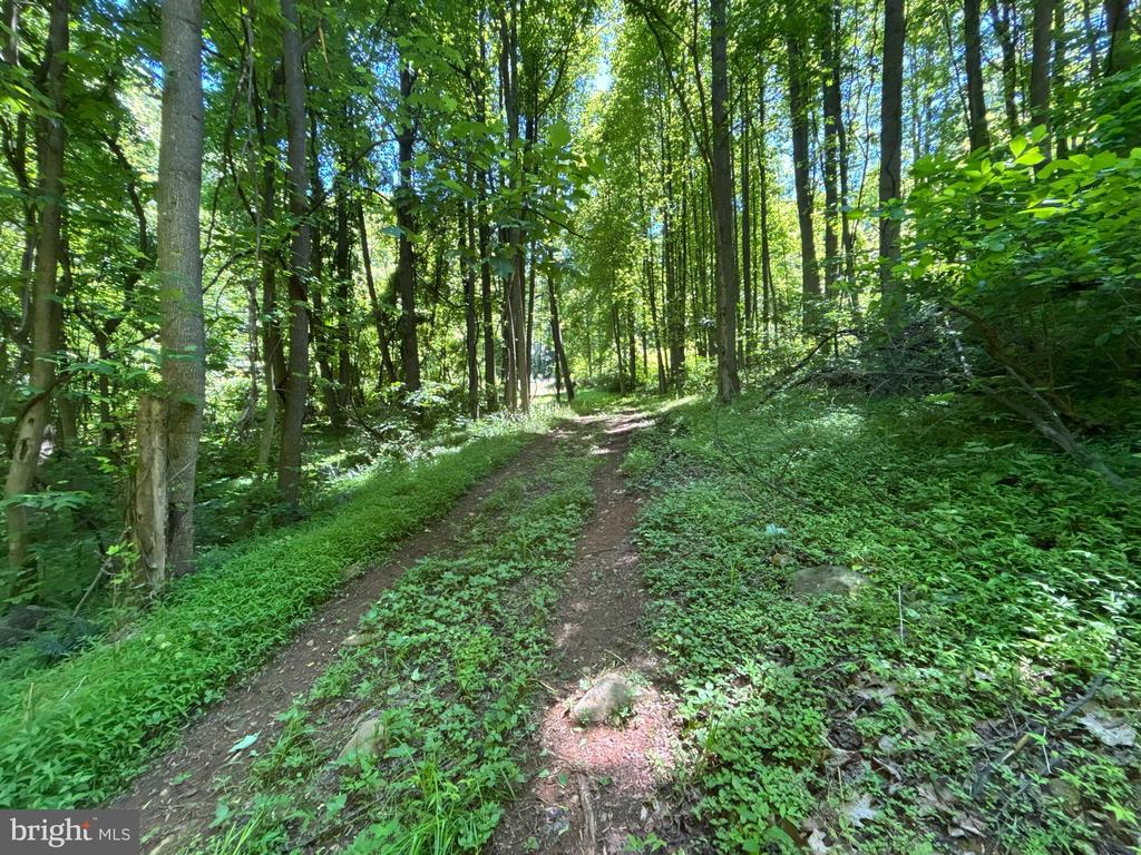 JORDAN HOLLOW RD, STANLEY, Virginia 22851, ,Farm,14,JORDAN HOLLOW RD,VAPA2006538 MLS # VAPA2006538 JORDAN HOLLOW RD, STANLEY, Virginia 22851, ,Farm,14,JORDAN HOLLOW RD,VAPA2006538 MLS # VAPA2006538