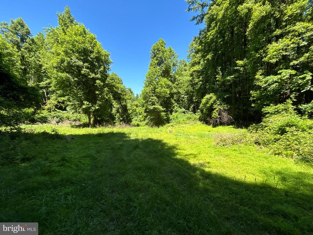 JORDAN HOLLOW RD, STANLEY, Virginia 22851, ,Farm,14,JORDAN HOLLOW RD,VAPA2006538 MLS # VAPA2006538 JORDAN HOLLOW RD, STANLEY, Virginia 22851, ,Farm,14,JORDAN HOLLOW RD,VAPA2006538 MLS # VAPA2006538