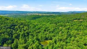 JORDAN HOLLOW RD, STANLEY, Virginia 22851, ,Farm,14,JORDAN HOLLOW RD,VAPA2006538 MLS # VAPA2006538