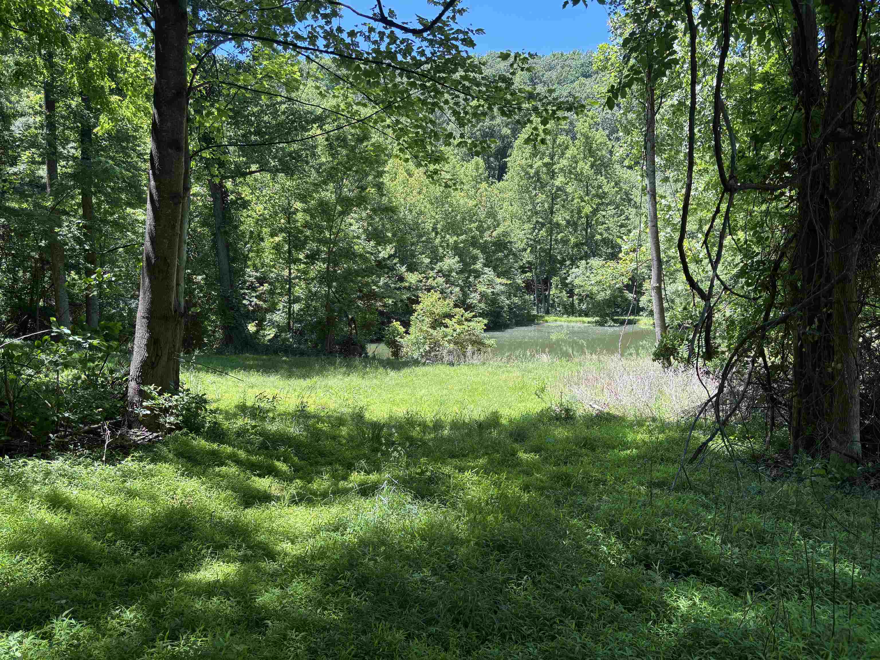 JORDAN HOLLOW RD, STANLEY, Virginia 22851, ,Farm,14,JORDAN HOLLOW RD,678257 MLS # 678257 JORDAN HOLLOW RD, STANLEY, Virginia 22851, ,Farm,14,JORDAN HOLLOW RD,678257 MLS # 678257