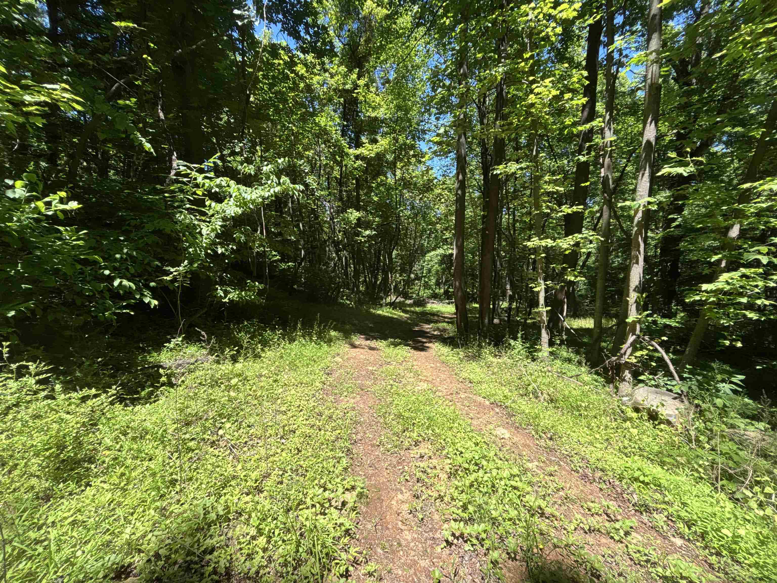 JORDAN HOLLOW RD, STANLEY, Virginia 22851, ,Farm,14,JORDAN HOLLOW RD,678257 MLS # 678257 JORDAN HOLLOW RD, STANLEY, Virginia 22851, ,Farm,14,JORDAN HOLLOW RD,678257 MLS # 678257
