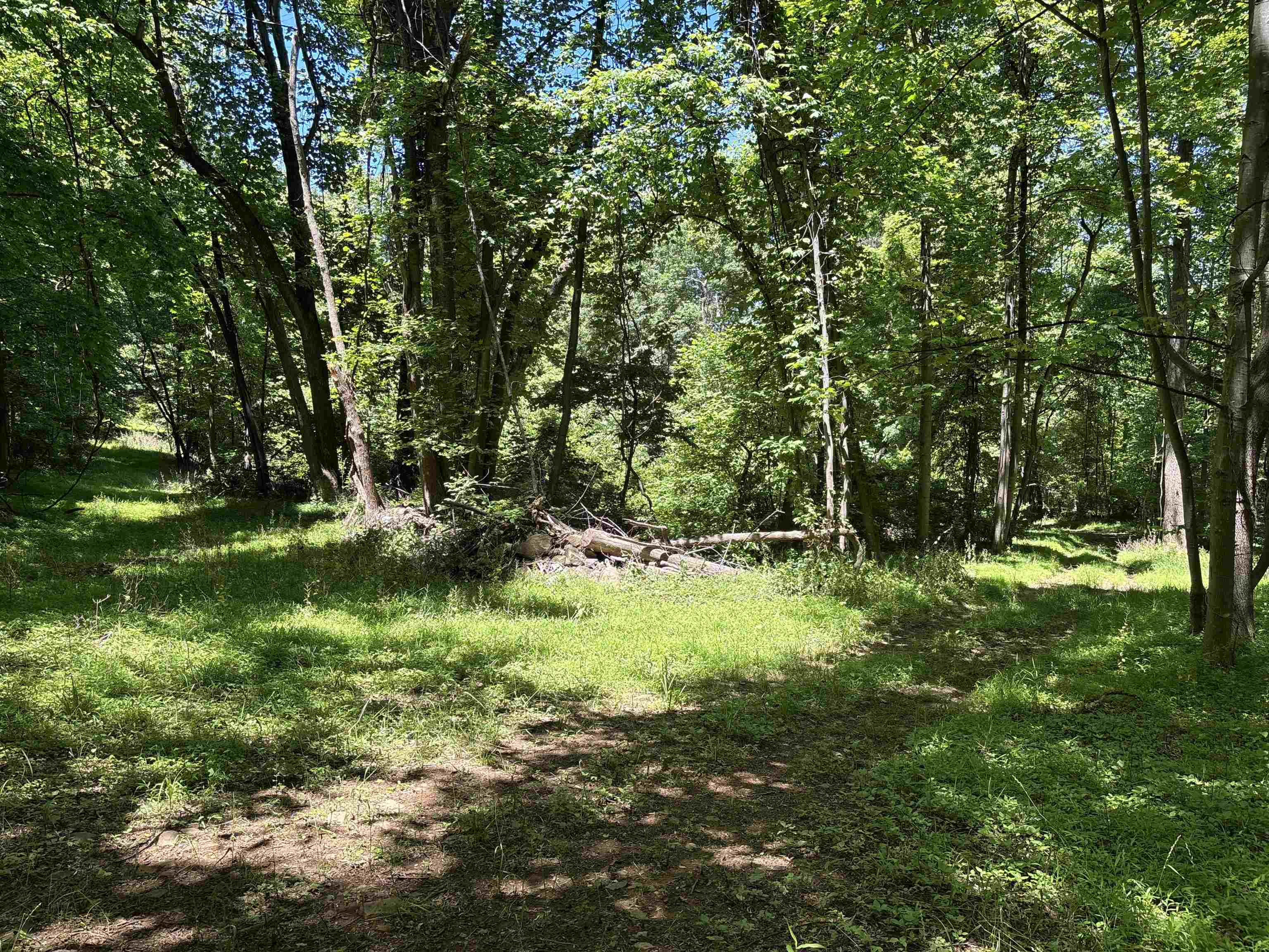 JORDAN HOLLOW RD, STANLEY, Virginia 22851, ,Farm,14,JORDAN HOLLOW RD,678257 MLS # 678257 JORDAN HOLLOW RD, STANLEY, Virginia 22851, ,Farm,14,JORDAN HOLLOW RD,678257 MLS # 678257