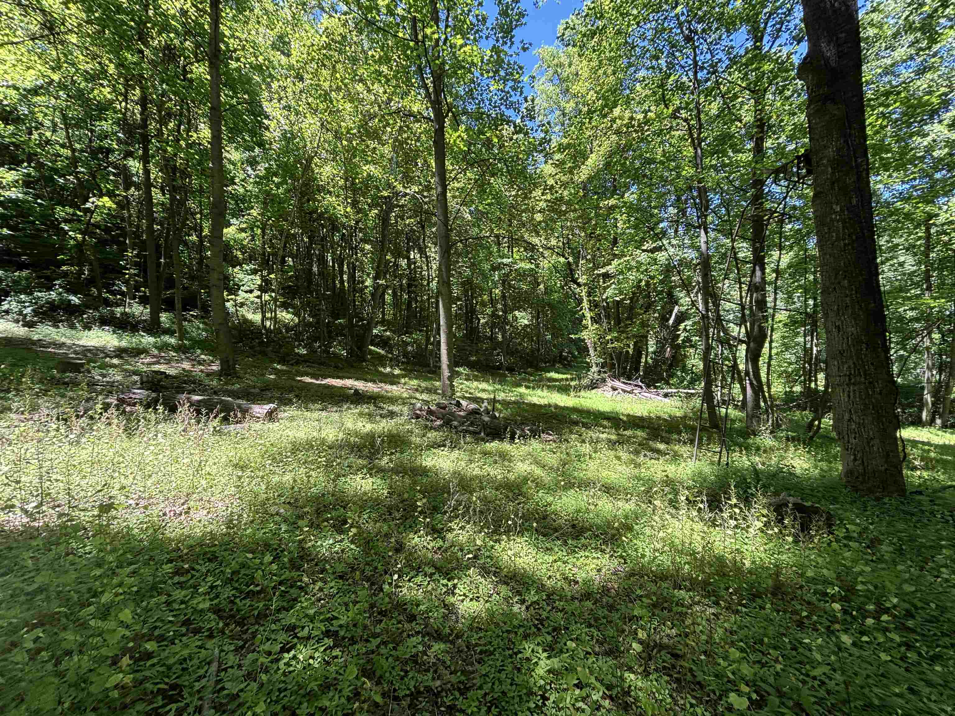 JORDAN HOLLOW RD, STANLEY, Virginia 22851, ,Farm,14,JORDAN HOLLOW RD,678257 MLS # 678257 JORDAN HOLLOW RD, STANLEY, Virginia 22851, ,Farm,14,JORDAN HOLLOW RD,678257 MLS # 678257