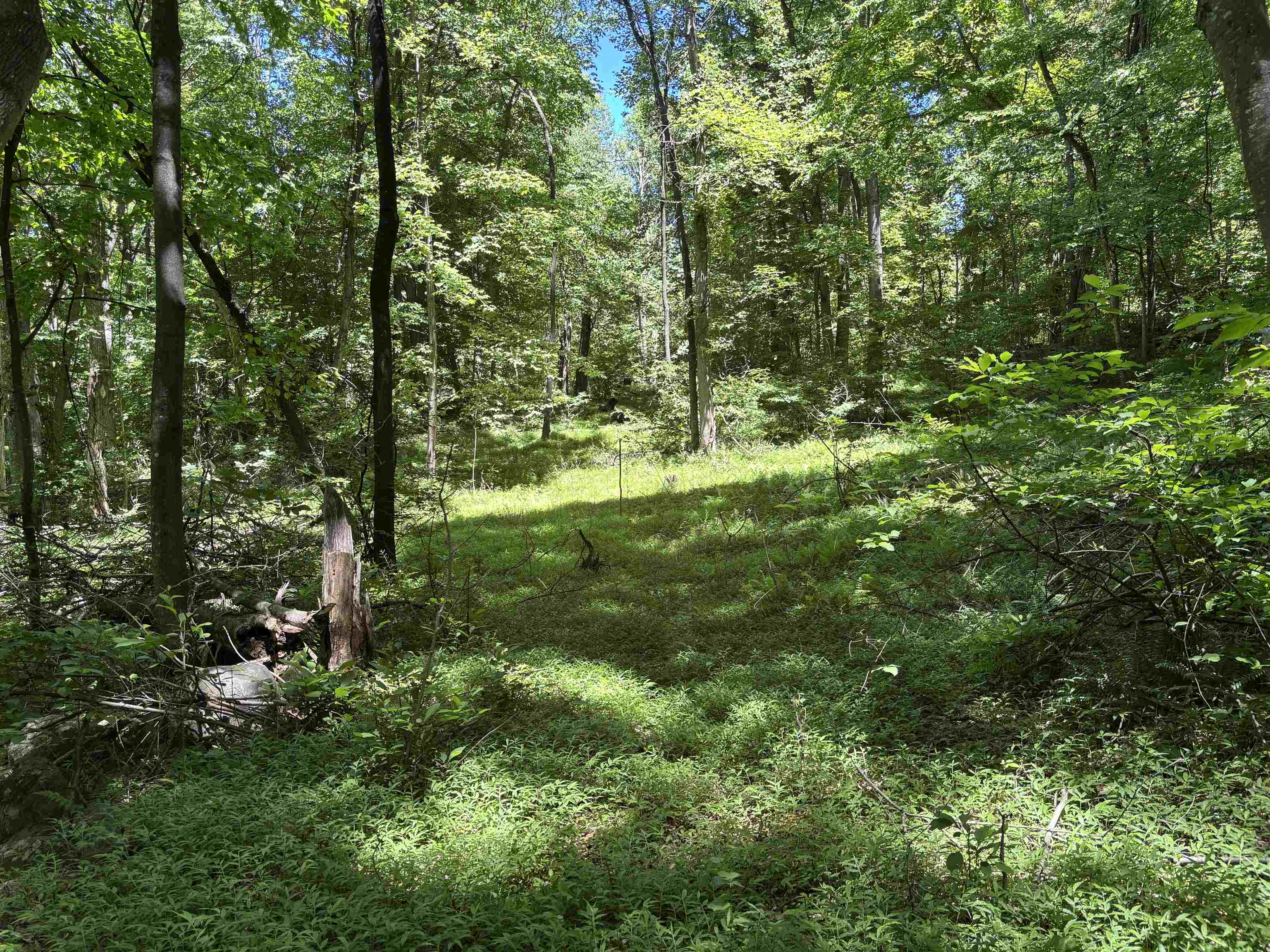 JORDAN HOLLOW RD, STANLEY, Virginia 22851, ,Farm,14,JORDAN HOLLOW RD,678257 MLS # 678257 JORDAN HOLLOW RD, STANLEY, Virginia 22851, ,Farm,14,JORDAN HOLLOW RD,678257 MLS # 678257