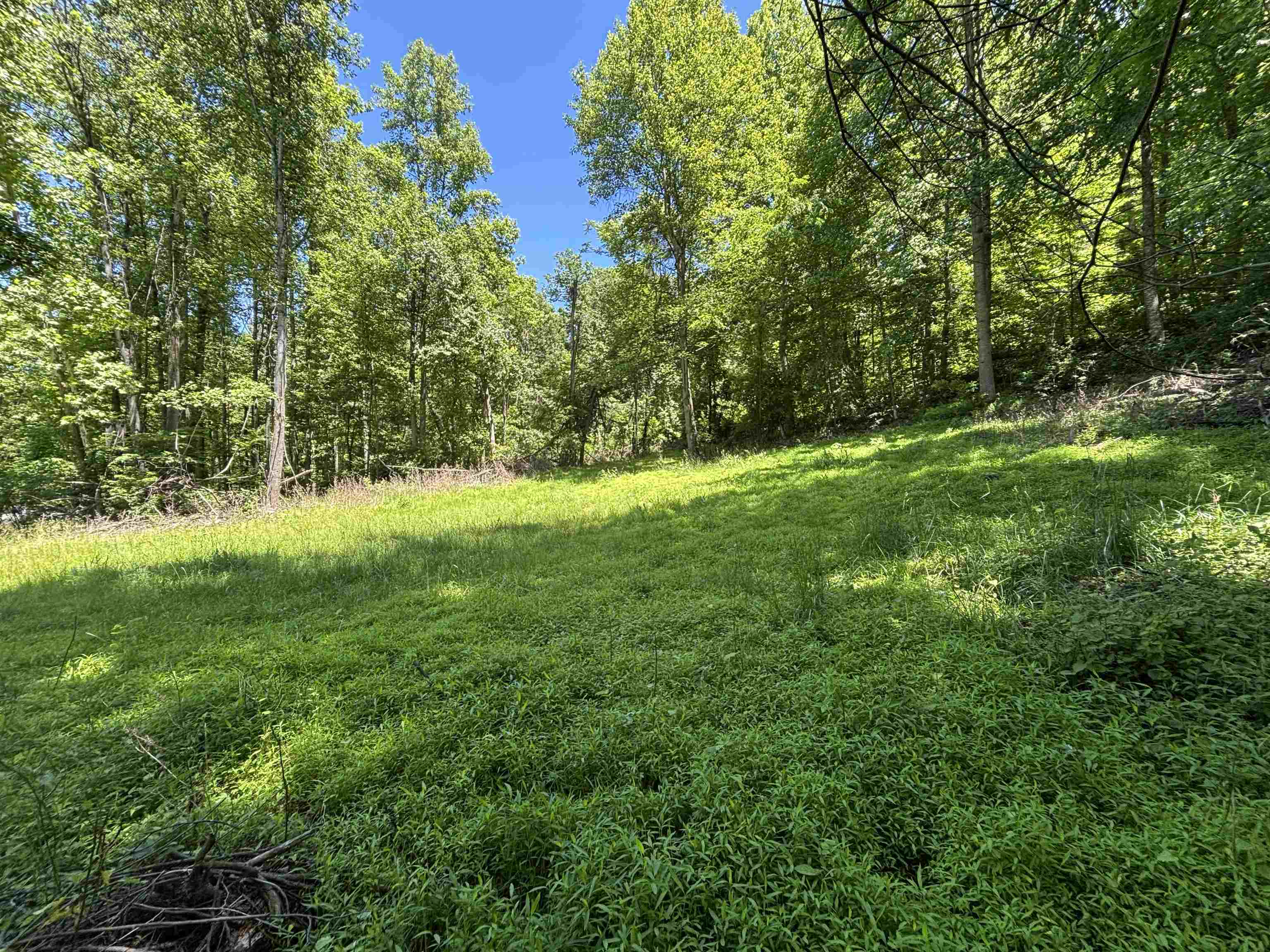 JORDAN HOLLOW RD, STANLEY, Virginia 22851, ,Farm,14,JORDAN HOLLOW RD,678257 MLS # 678257 JORDAN HOLLOW RD, STANLEY, Virginia 22851, ,Farm,14,JORDAN HOLLOW RD,678257 MLS # 678257