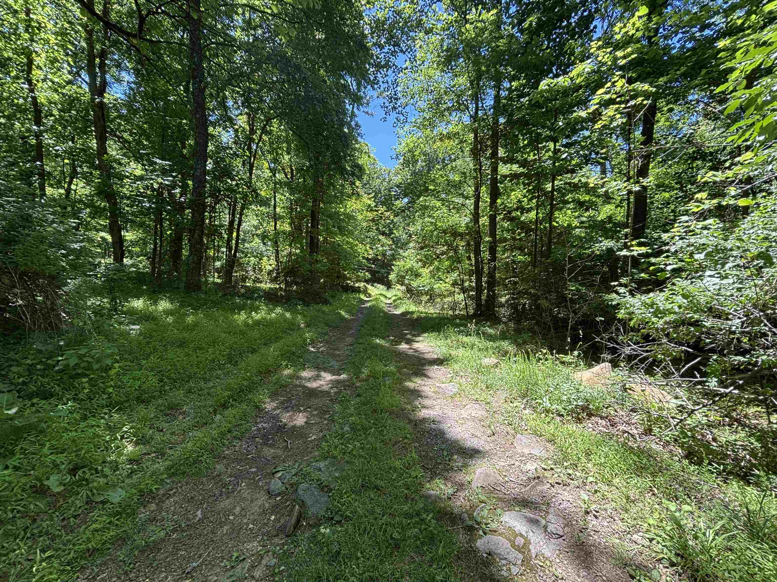 JORDAN HOLLOW RD, STANLEY, Virginia 22851, ,Farm,14,JORDAN HOLLOW RD,678257 MLS # 678257 JORDAN HOLLOW RD, STANLEY, Virginia 22851, ,Farm,14,JORDAN HOLLOW RD,678257 MLS # 678257