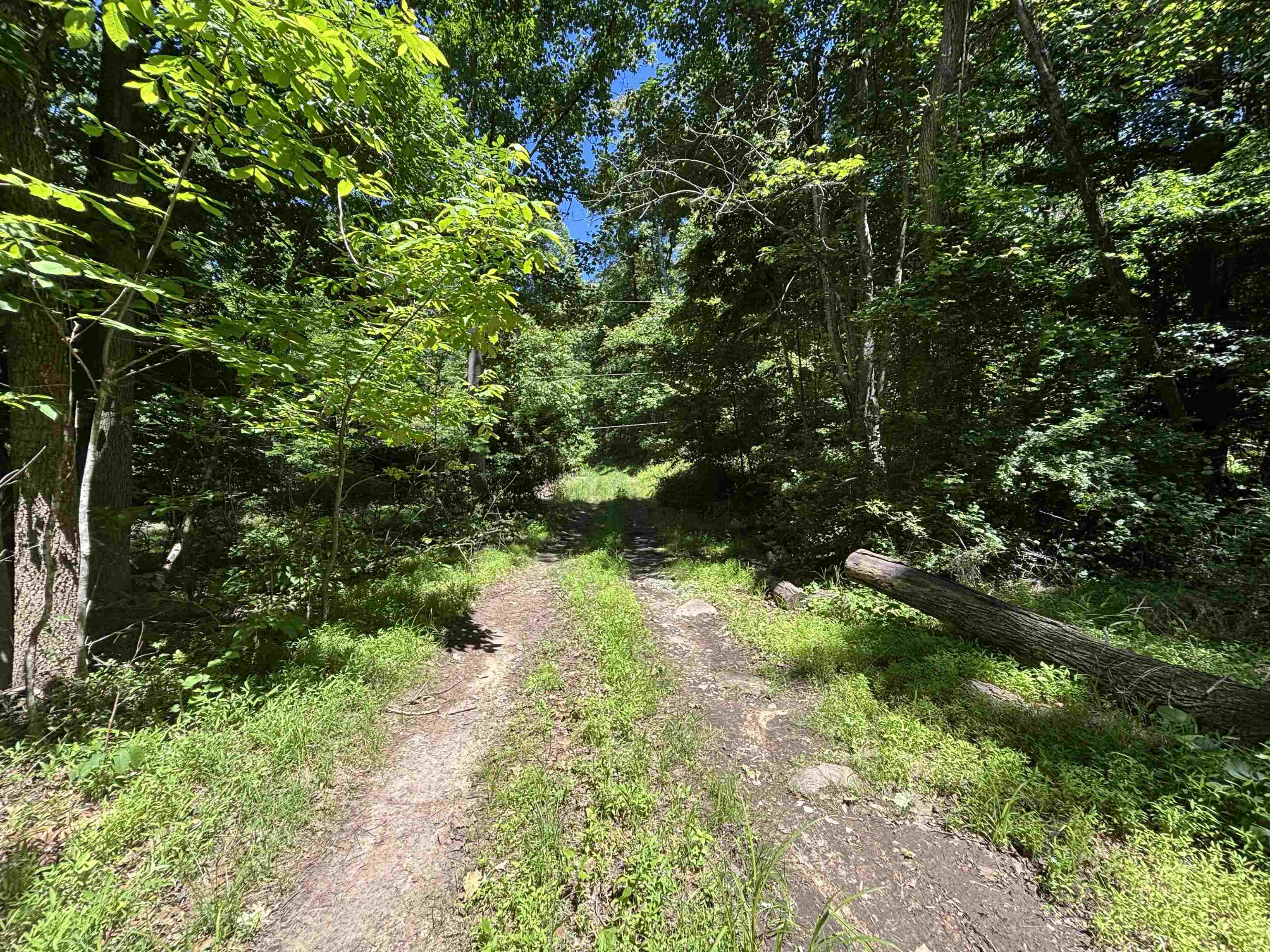 JORDAN HOLLOW RD, STANLEY, Virginia 22851, ,Farm,14,JORDAN HOLLOW RD,678257 MLS # 678257 JORDAN HOLLOW RD, STANLEY, Virginia 22851, ,Farm,14,JORDAN HOLLOW RD,678257 MLS # 678257