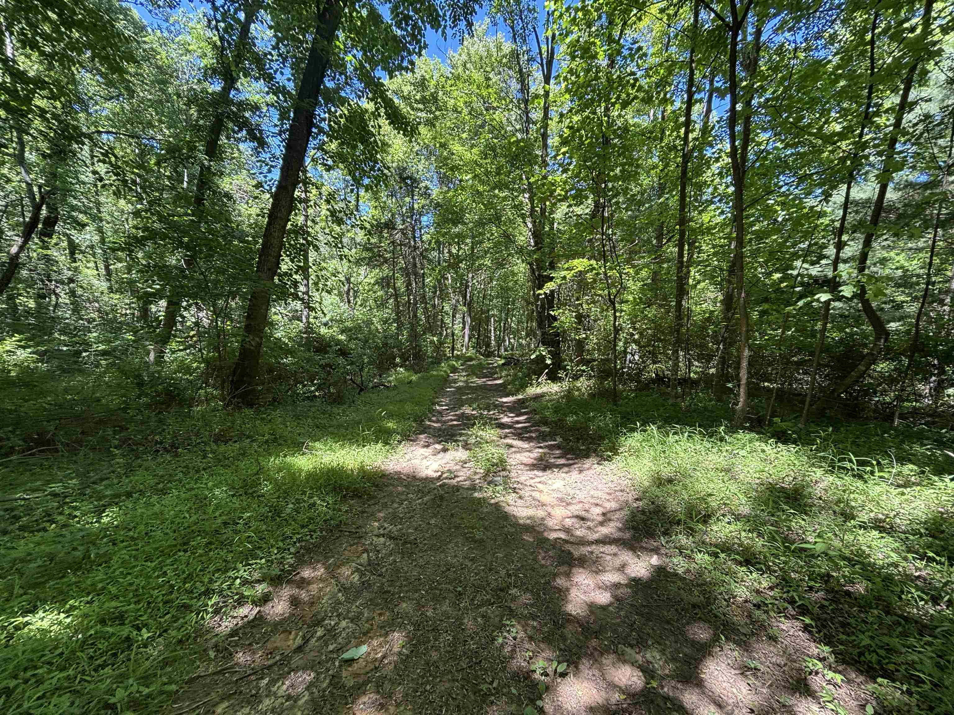 JORDAN HOLLOW RD, STANLEY, Virginia 22851, ,Farm,14,JORDAN HOLLOW RD,678257 MLS # 678257 JORDAN HOLLOW RD, STANLEY, Virginia 22851, ,Farm,14,JORDAN HOLLOW RD,678257 MLS # 678257