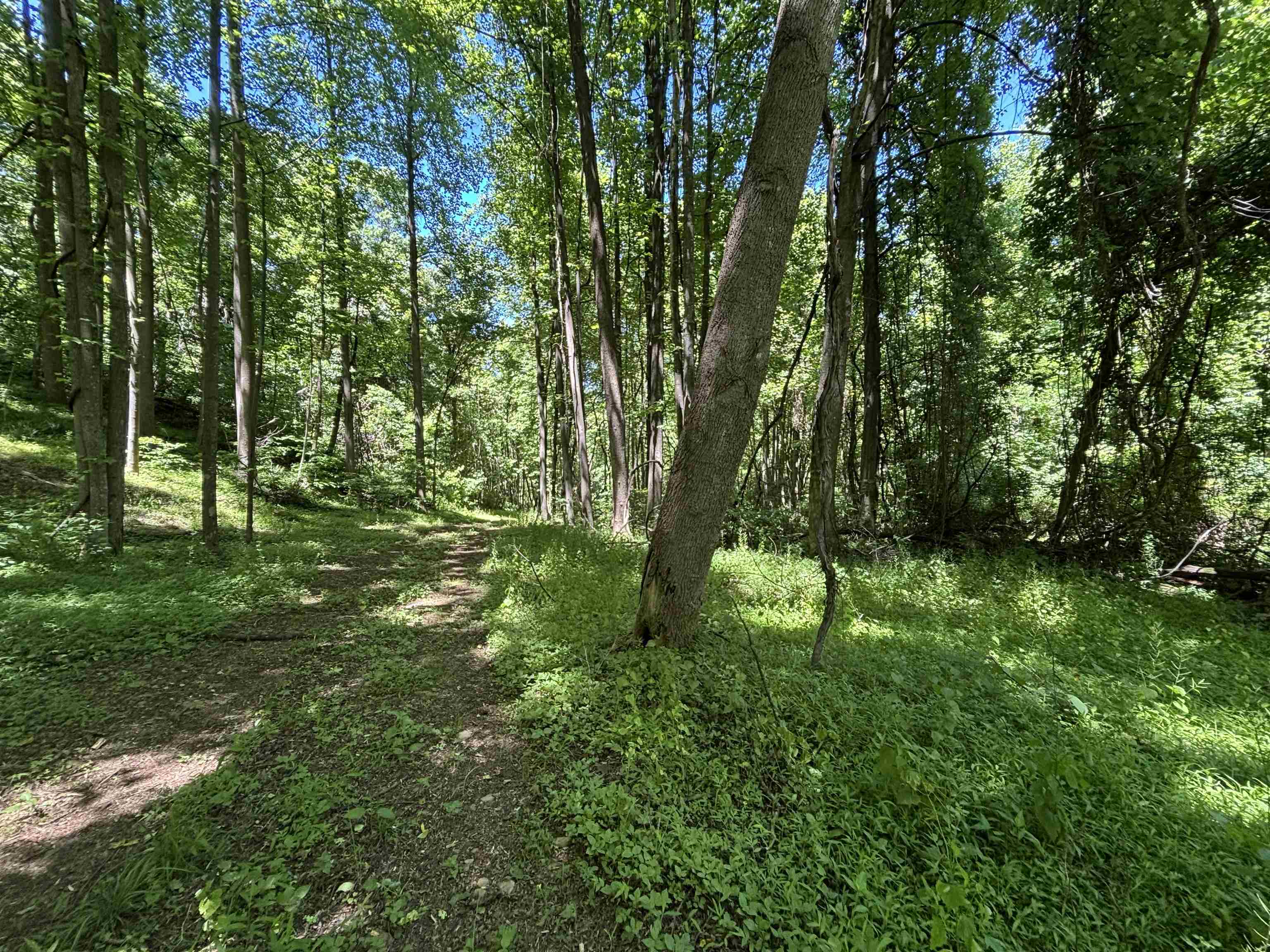 JORDAN HOLLOW RD, STANLEY, Virginia 22851, ,Farm,14,JORDAN HOLLOW RD,678257 MLS # 678257 JORDAN HOLLOW RD, STANLEY, Virginia 22851, ,Farm,14,JORDAN HOLLOW RD,678257 MLS # 678257