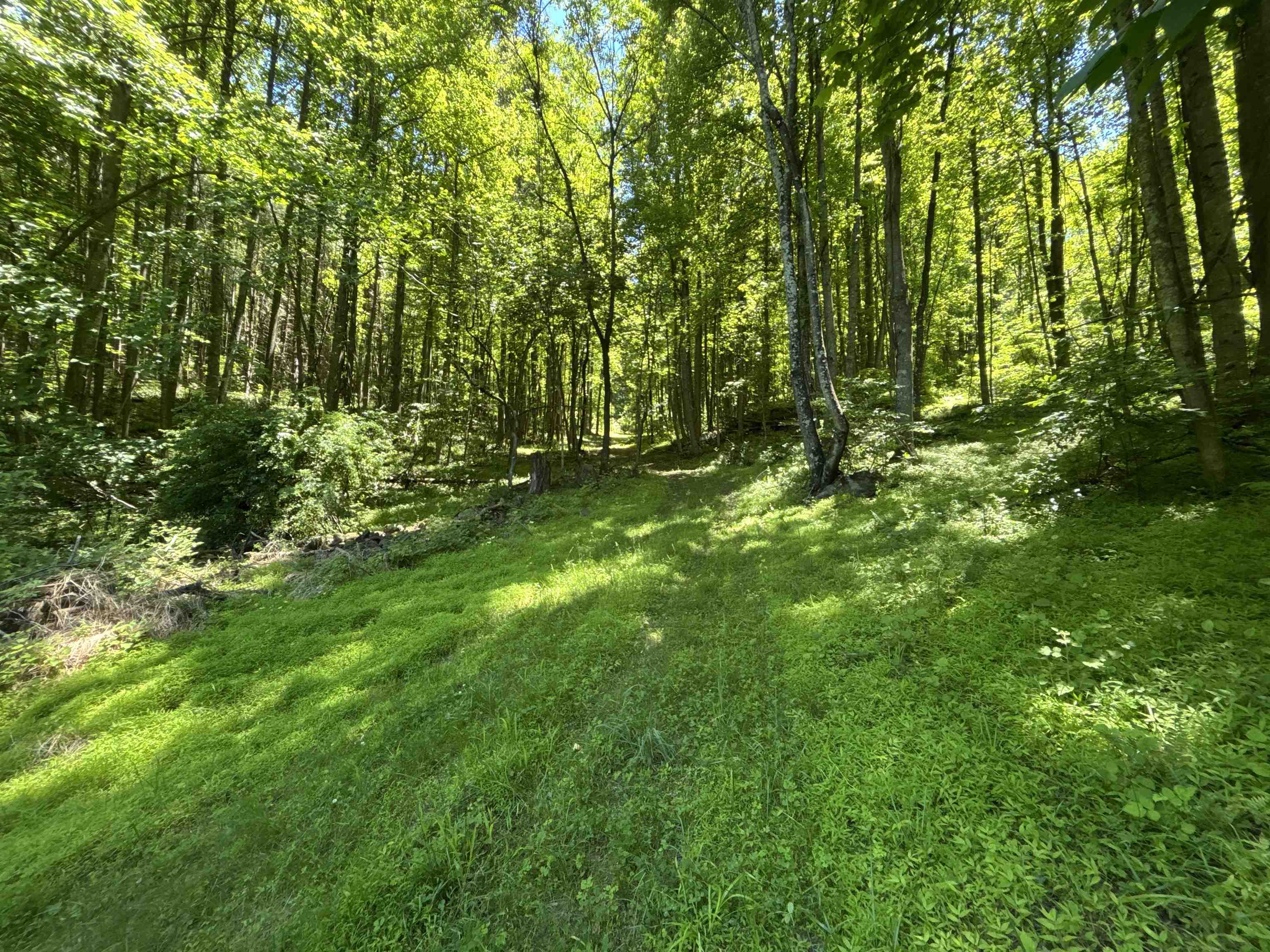 JORDAN HOLLOW RD, STANLEY, Virginia 22851, ,Farm,14,JORDAN HOLLOW RD,678257 MLS # 678257 JORDAN HOLLOW RD, STANLEY, Virginia 22851, ,Farm,14,JORDAN HOLLOW RD,678257 MLS # 678257