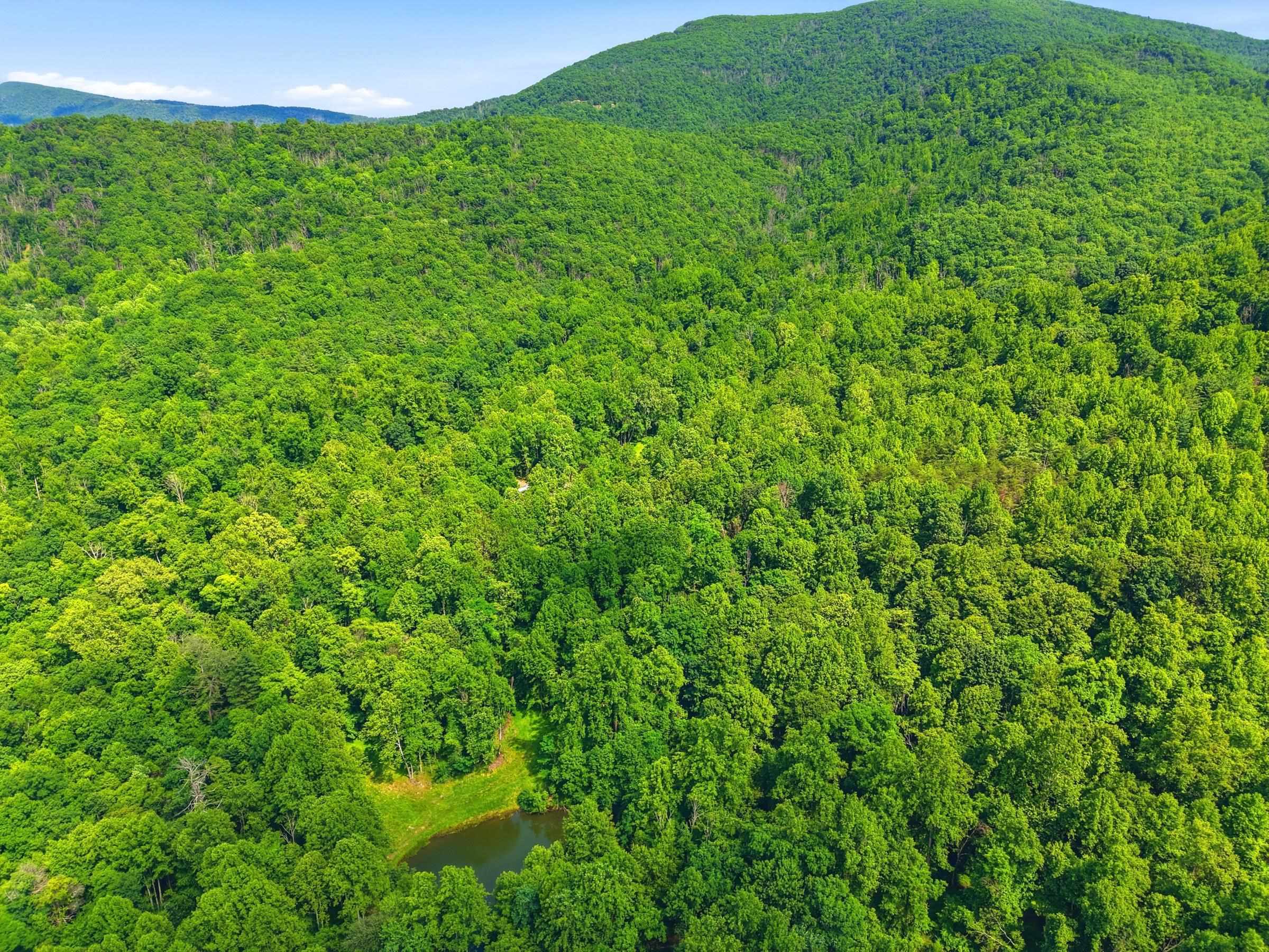 JORDAN HOLLOW RD, STANLEY, Virginia 22851, ,Farm,14,JORDAN HOLLOW RD,678257 MLS # 678257 JORDAN HOLLOW RD, STANLEY, Virginia 22851, ,Farm,14,JORDAN HOLLOW RD,678257 MLS # 678257
