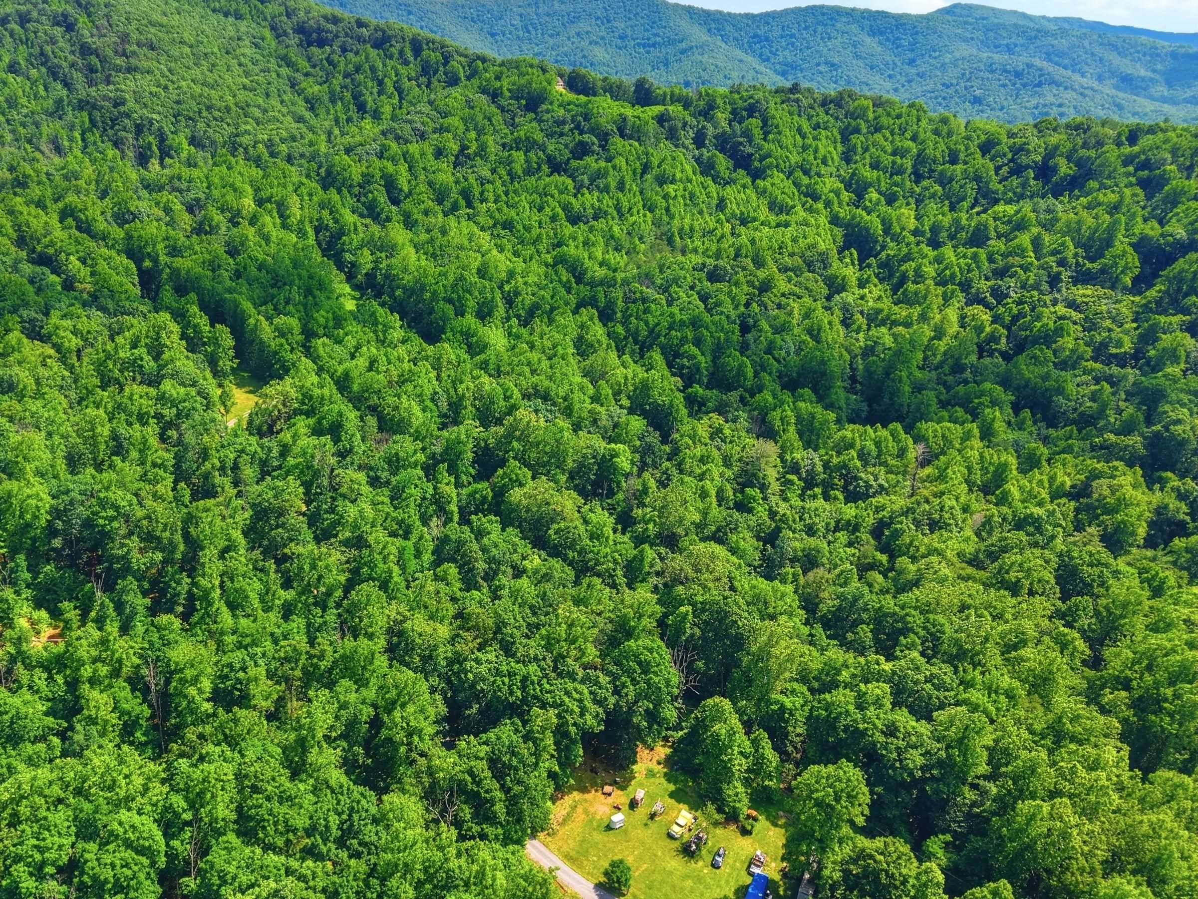 JORDAN HOLLOW RD, STANLEY, Virginia 22851, ,Farm,14,JORDAN HOLLOW RD,678257 MLS # 678257 JORDAN HOLLOW RD, STANLEY, Virginia 22851, ,Farm,14,JORDAN HOLLOW RD,678257 MLS # 678257