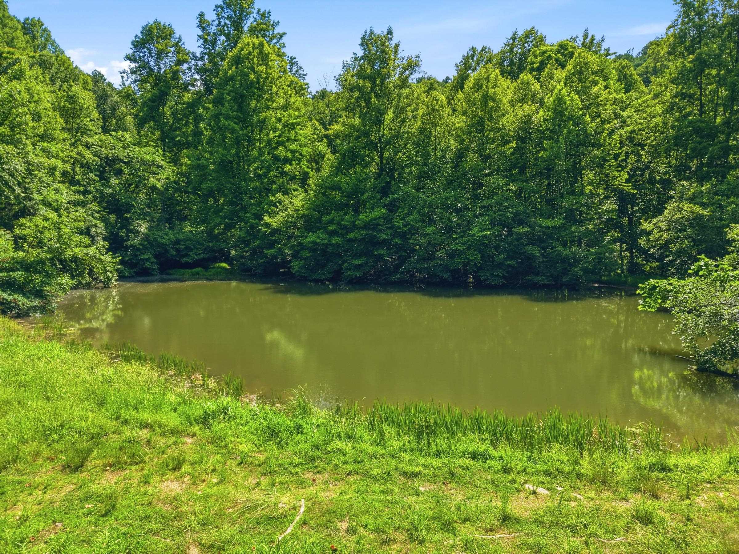 JORDAN HOLLOW RD, STANLEY, Virginia 22851, ,Farm,14,JORDAN HOLLOW RD,678257 MLS # 678257 JORDAN HOLLOW RD, STANLEY, Virginia 22851, ,Farm,14,JORDAN HOLLOW RD,678257 MLS # 678257