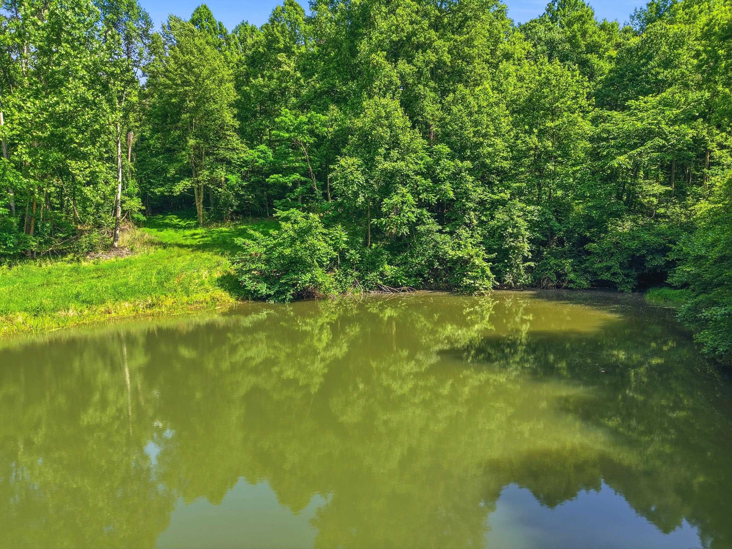 JORDAN HOLLOW RD, STANLEY, Virginia 22851, ,Farm,14,JORDAN HOLLOW RD,678257 MLS # 678257 JORDAN HOLLOW RD, STANLEY, Virginia 22851, ,Farm,14,JORDAN HOLLOW RD,678257 MLS # 678257
