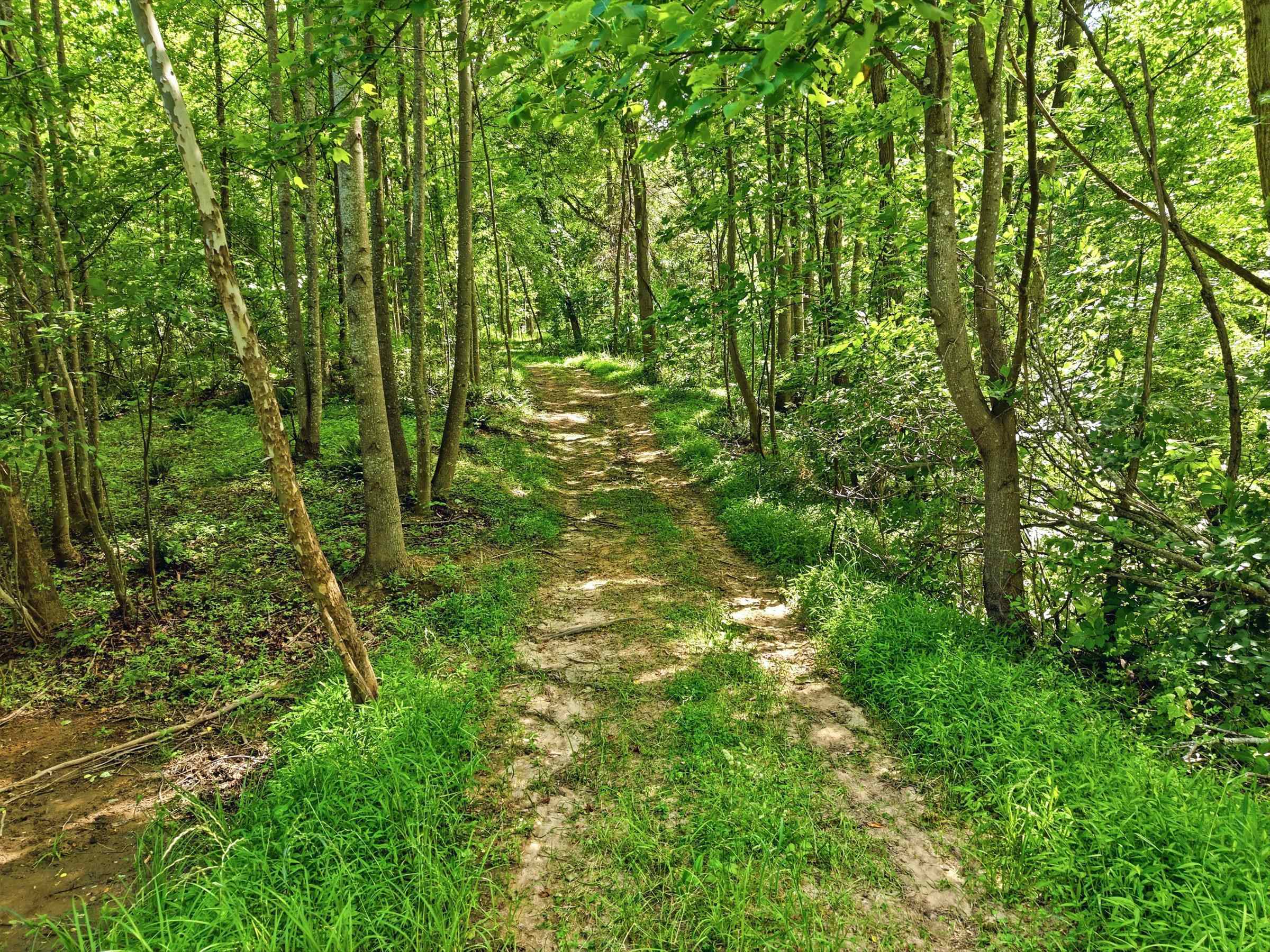 JORDAN HOLLOW RD, STANLEY, Virginia 22851, ,Farm,14,JORDAN HOLLOW RD,678257 MLS # 678257 JORDAN HOLLOW RD, STANLEY, Virginia 22851, ,Farm,14,JORDAN HOLLOW RD,678257 MLS # 678257