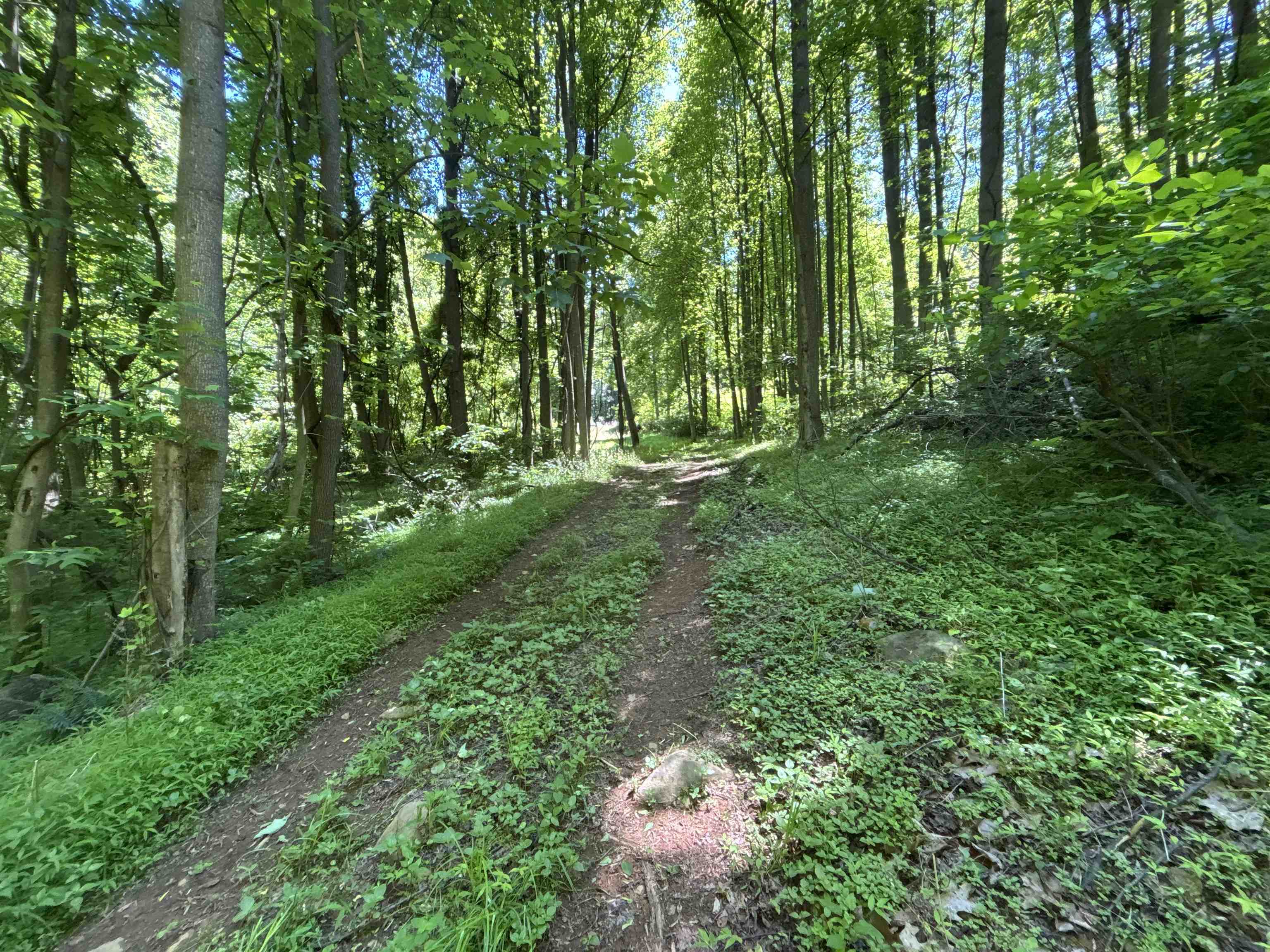 JORDAN HOLLOW RD, STANLEY, Virginia 22851, ,Farm,14,JORDAN HOLLOW RD,678257 MLS # 678257 JORDAN HOLLOW RD, STANLEY, Virginia 22851, ,Farm,14,JORDAN HOLLOW RD,678257 MLS # 678257