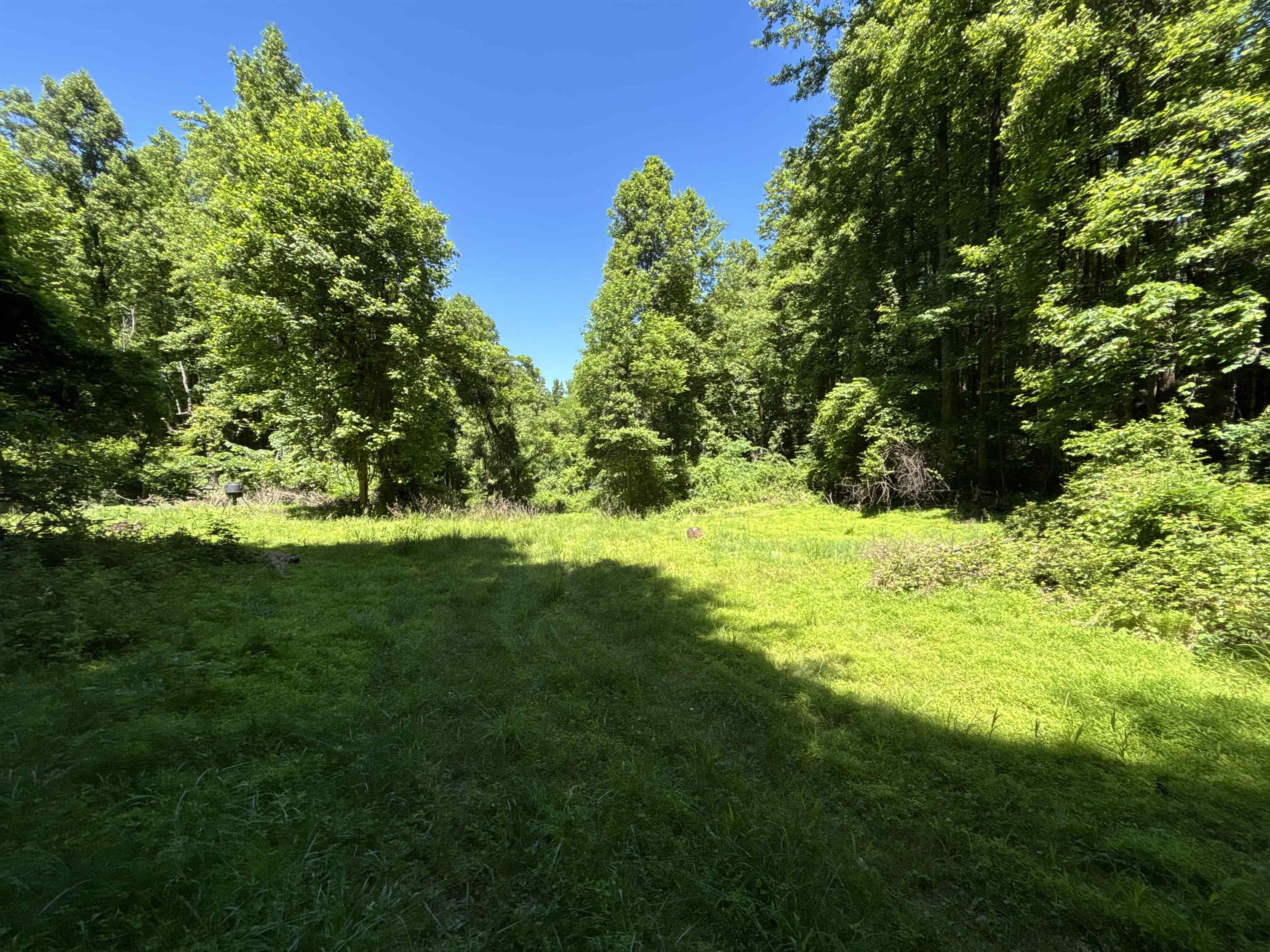 JORDAN HOLLOW RD, STANLEY, Virginia 22851, ,Farm,14,JORDAN HOLLOW RD,678257 MLS # 678257 JORDAN HOLLOW RD, STANLEY, Virginia 22851, ,Farm,14,JORDAN HOLLOW RD,678257 MLS # 678257