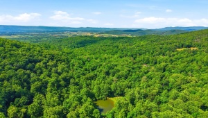 JORDAN HOLLOW RD, STANLEY, Virginia 22851, ,Farm,14,JORDAN HOLLOW RD,678257 MLS # 678257