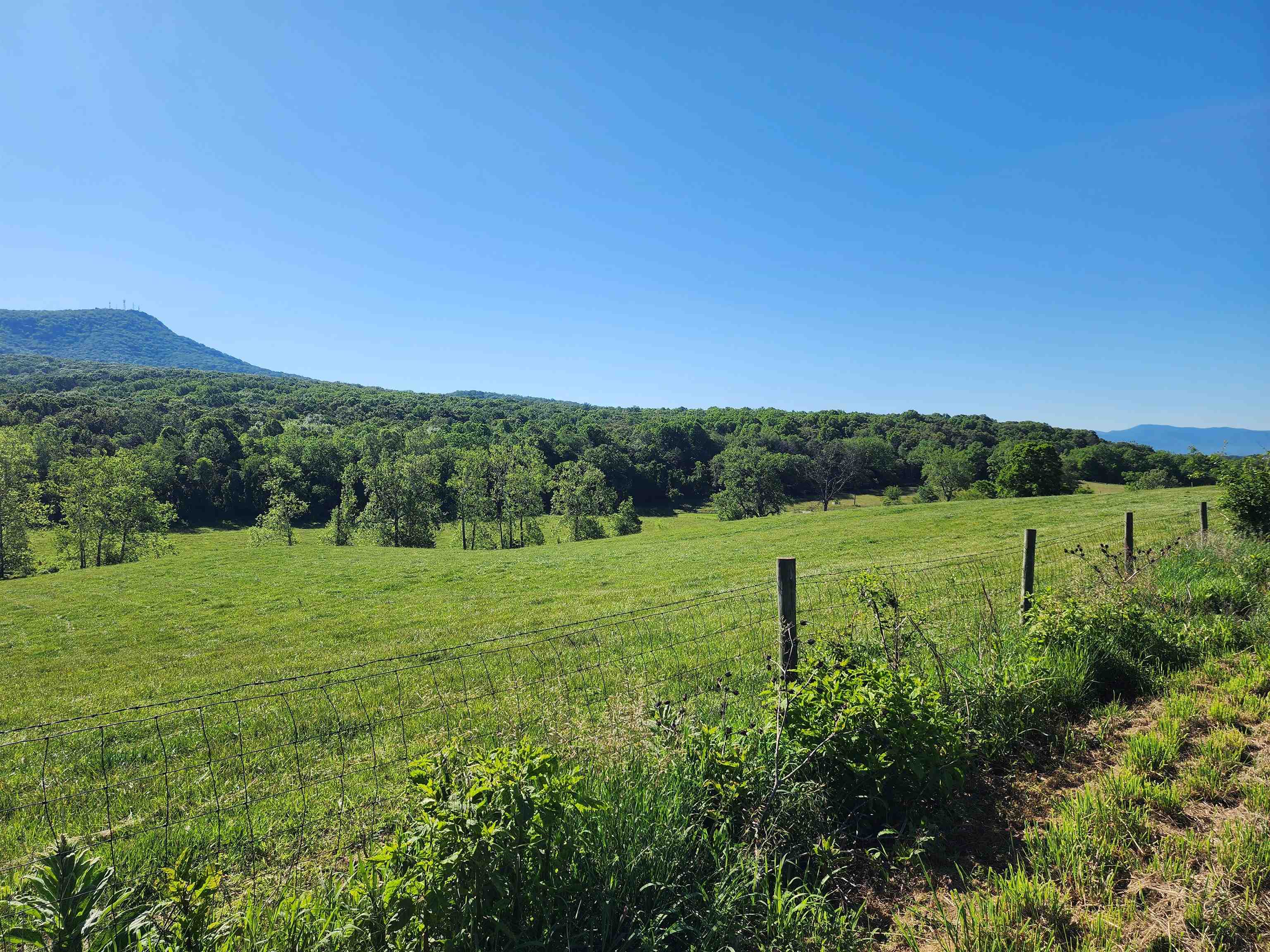 TBD INDIAN TRAIL RD, PENN LAIRD, Virginia 22846, ,Land,14,TBD INDIAN TRAIL RD,678406 MLS # 678406 TBD INDIAN TRAIL RD, PENN LAIRD, Virginia 22846, ,Land,14,TBD INDIAN TRAIL RD,678406 MLS # 678406