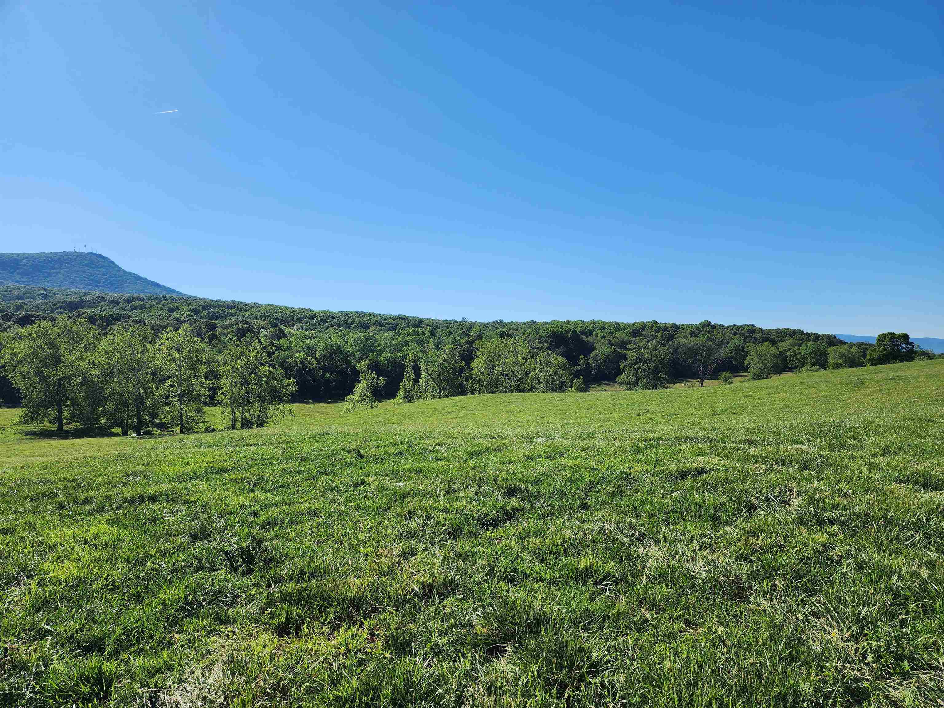 TBD INDIAN TRAIL RD, PENN LAIRD, Virginia 22846, ,Land,14,TBD INDIAN TRAIL RD,678406 MLS # 678406 TBD INDIAN TRAIL RD, PENN LAIRD, Virginia 22846, ,Land,14,TBD INDIAN TRAIL RD,678406 MLS # 678406