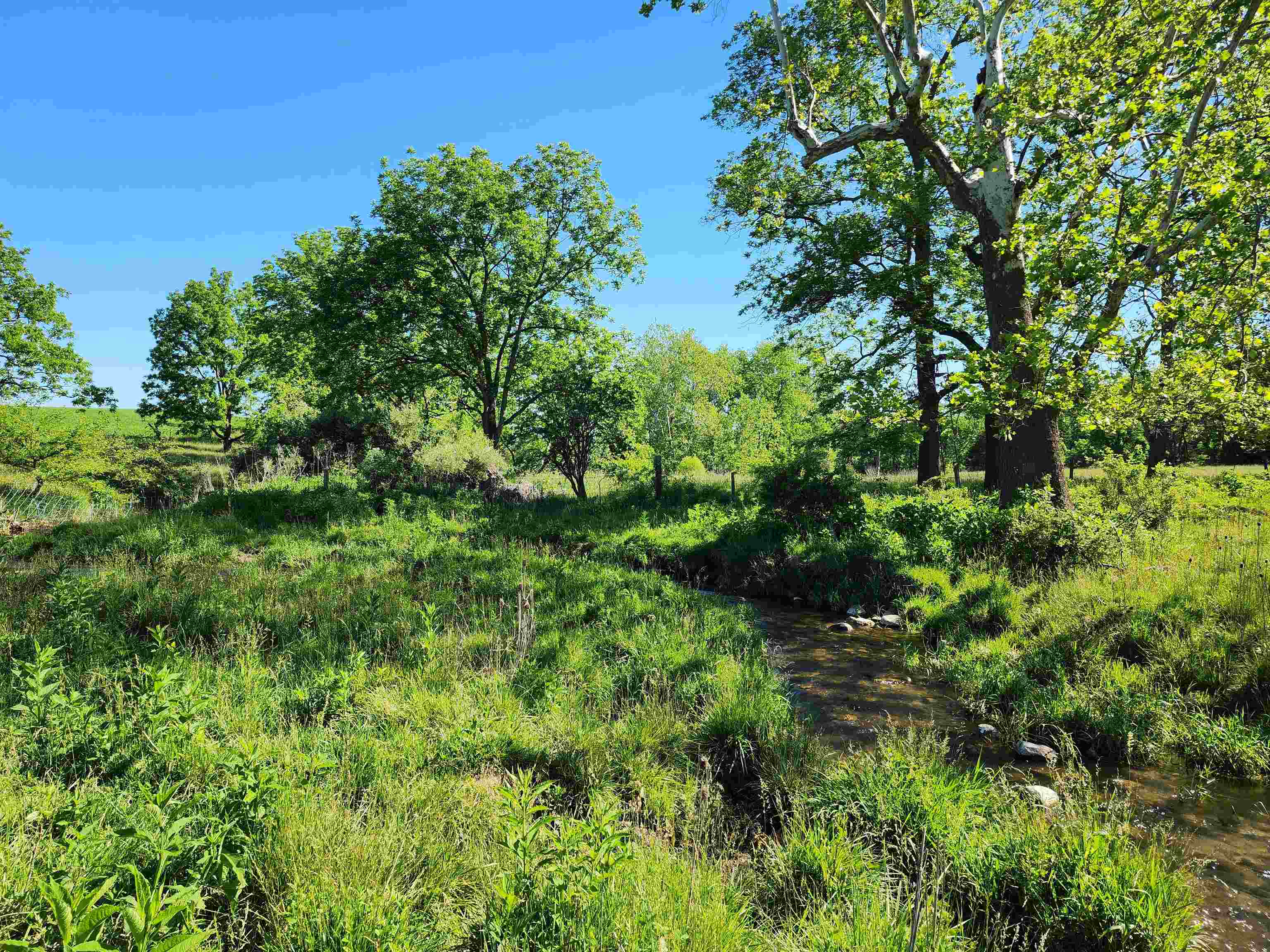 TBD INDIAN TRAIL RD, PENN LAIRD, Virginia 22846, ,Land,14,TBD INDIAN TRAIL RD,678406 MLS # 678406 TBD INDIAN TRAIL RD, PENN LAIRD, Virginia 22846, ,Land,14,TBD INDIAN TRAIL RD,678406 MLS # 678406