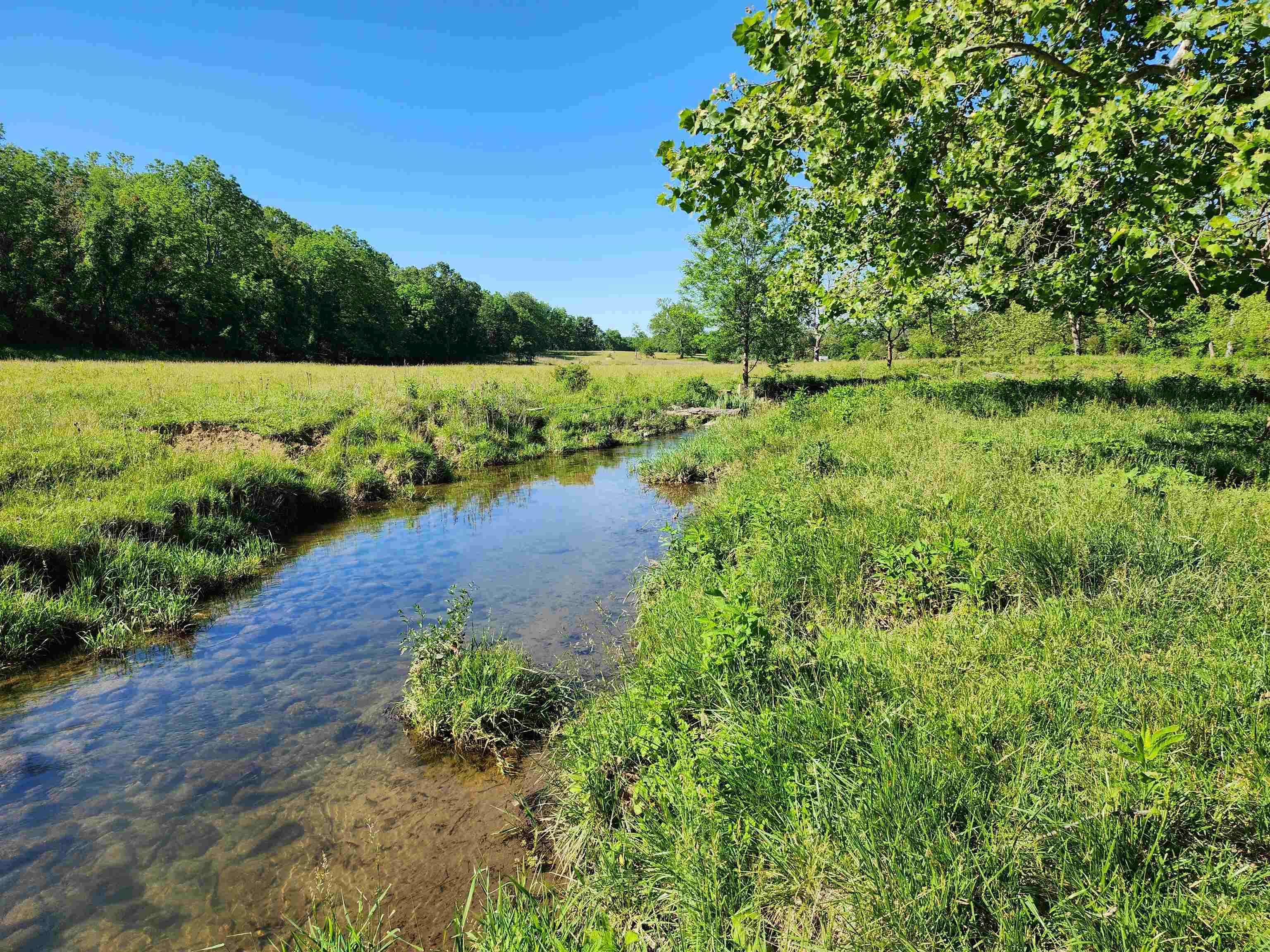 TBD INDIAN TRAIL RD, PENN LAIRD, Virginia 22846, ,Land,14,TBD INDIAN TRAIL RD,678406 MLS # 678406 TBD INDIAN TRAIL RD, PENN LAIRD, Virginia 22846, ,Land,14,TBD INDIAN TRAIL RD,678406 MLS # 678406