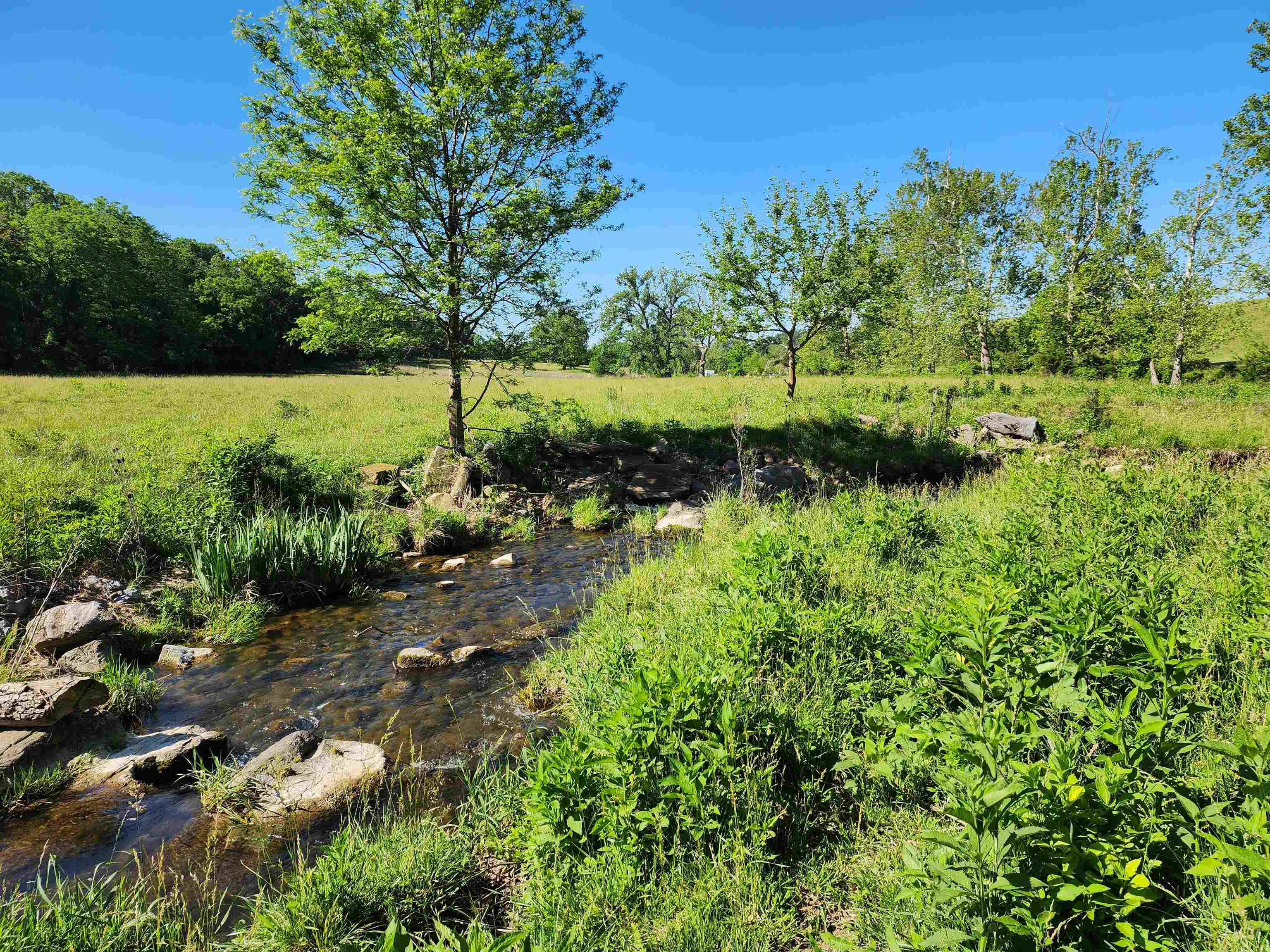 TBD INDIAN TRAIL RD, PENN LAIRD, Virginia 22846, ,Land,14,TBD INDIAN TRAIL RD,678406 MLS # 678406 TBD INDIAN TRAIL RD, PENN LAIRD, Virginia 22846, ,Land,14,TBD INDIAN TRAIL RD,678406 MLS # 678406