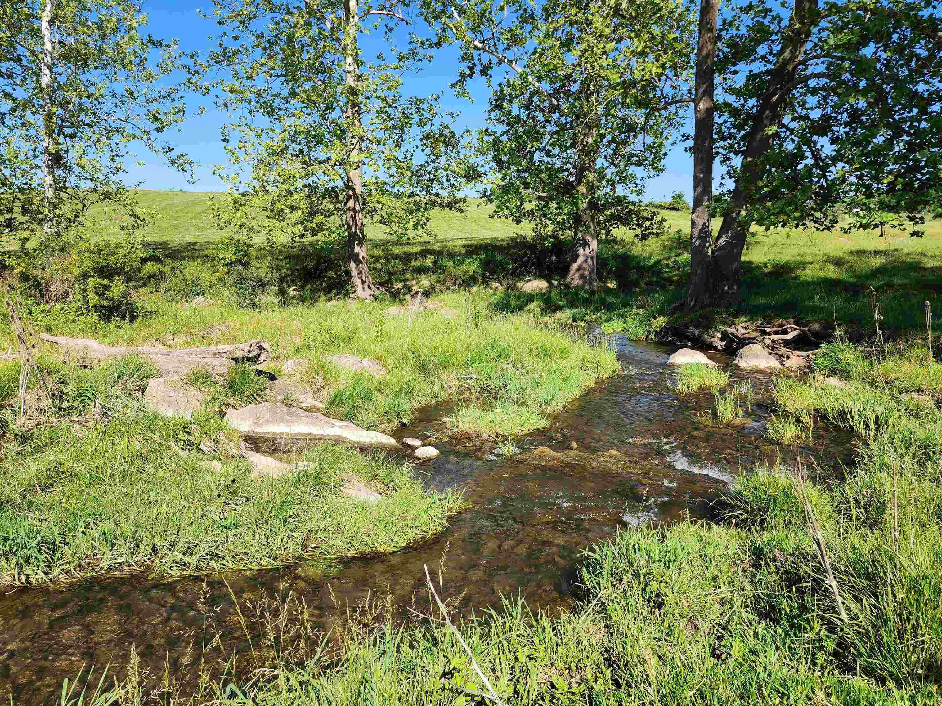 TBD INDIAN TRAIL RD, PENN LAIRD, Virginia 22846, ,Land,14,TBD INDIAN TRAIL RD,678406 MLS # 678406 TBD INDIAN TRAIL RD, PENN LAIRD, Virginia 22846, ,Land,14,TBD INDIAN TRAIL RD,678406 MLS # 678406
