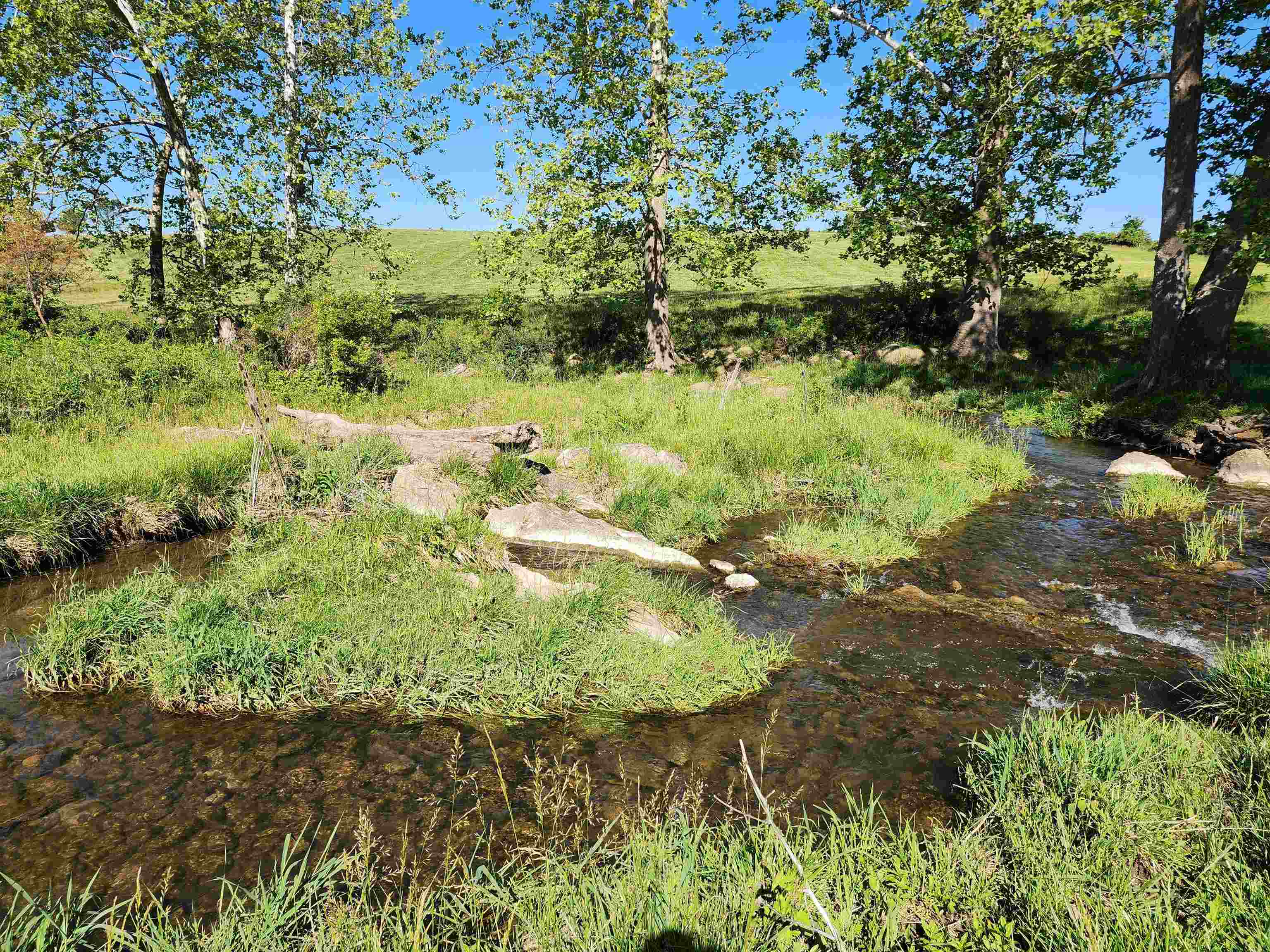 TBD INDIAN TRAIL RD, PENN LAIRD, Virginia 22846, ,Land,14,TBD INDIAN TRAIL RD,678406 MLS # 678406 TBD INDIAN TRAIL RD, PENN LAIRD, Virginia 22846, ,Land,14,TBD INDIAN TRAIL RD,678406 MLS # 678406