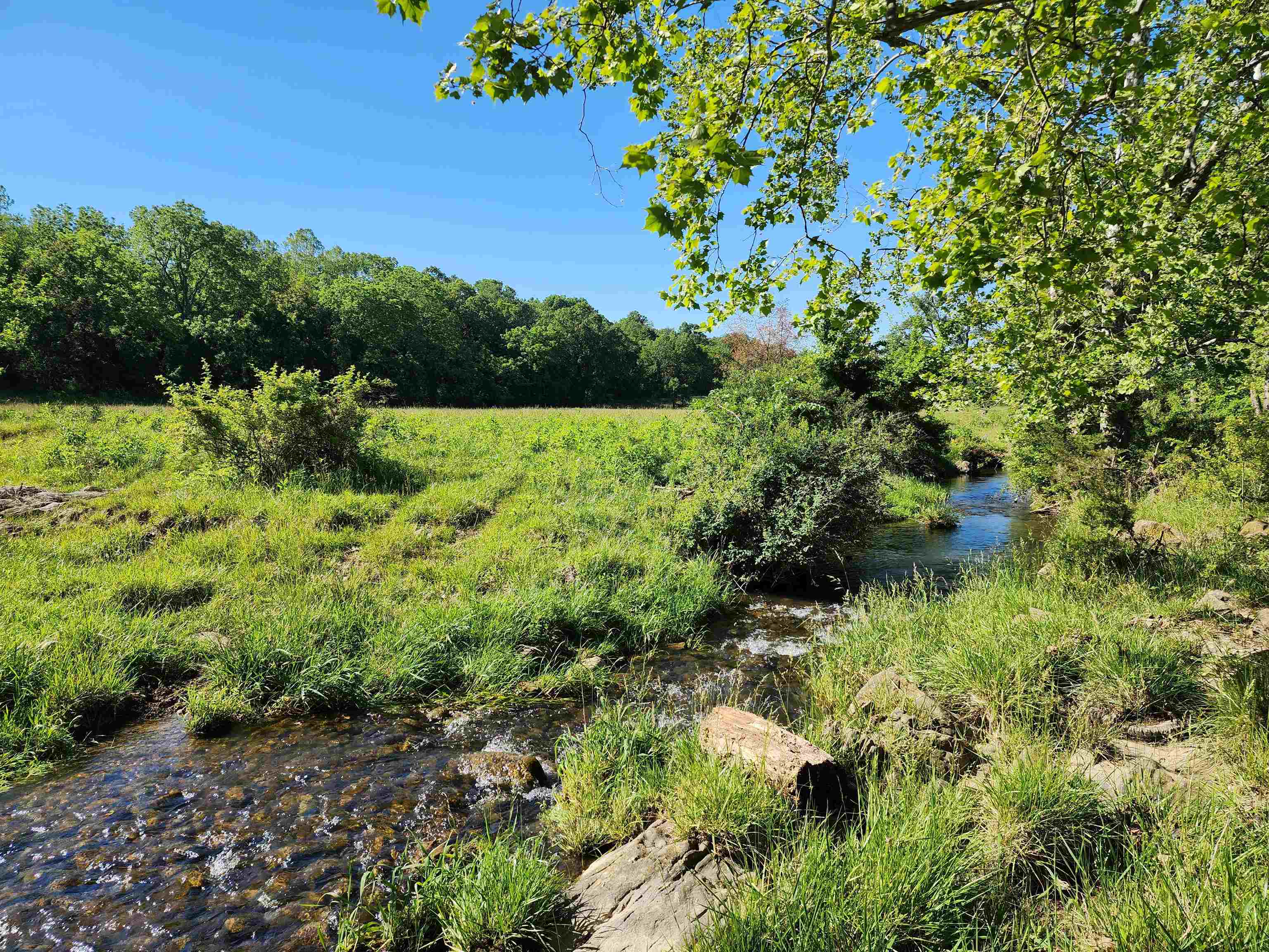 TBD INDIAN TRAIL RD, PENN LAIRD, Virginia 22846, ,Land,14,TBD INDIAN TRAIL RD,678406 MLS # 678406 TBD INDIAN TRAIL RD, PENN LAIRD, Virginia 22846, ,Land,14,TBD INDIAN TRAIL RD,678406 MLS # 678406