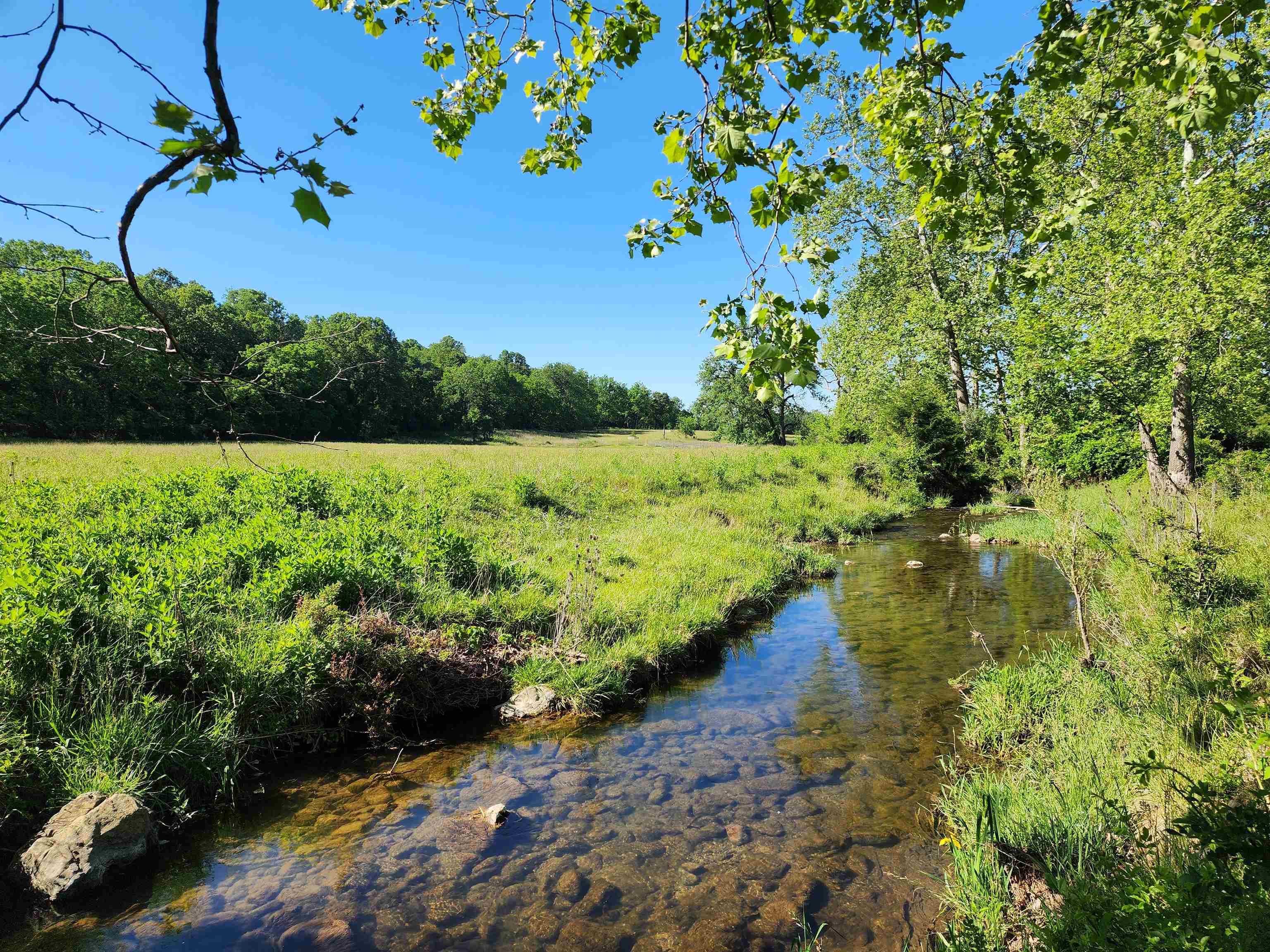 TBD INDIAN TRAIL RD, PENN LAIRD, Virginia 22846, ,Land,14,TBD INDIAN TRAIL RD,678406 MLS # 678406 TBD INDIAN TRAIL RD, PENN LAIRD, Virginia 22846, ,Land,14,TBD INDIAN TRAIL RD,678406 MLS # 678406