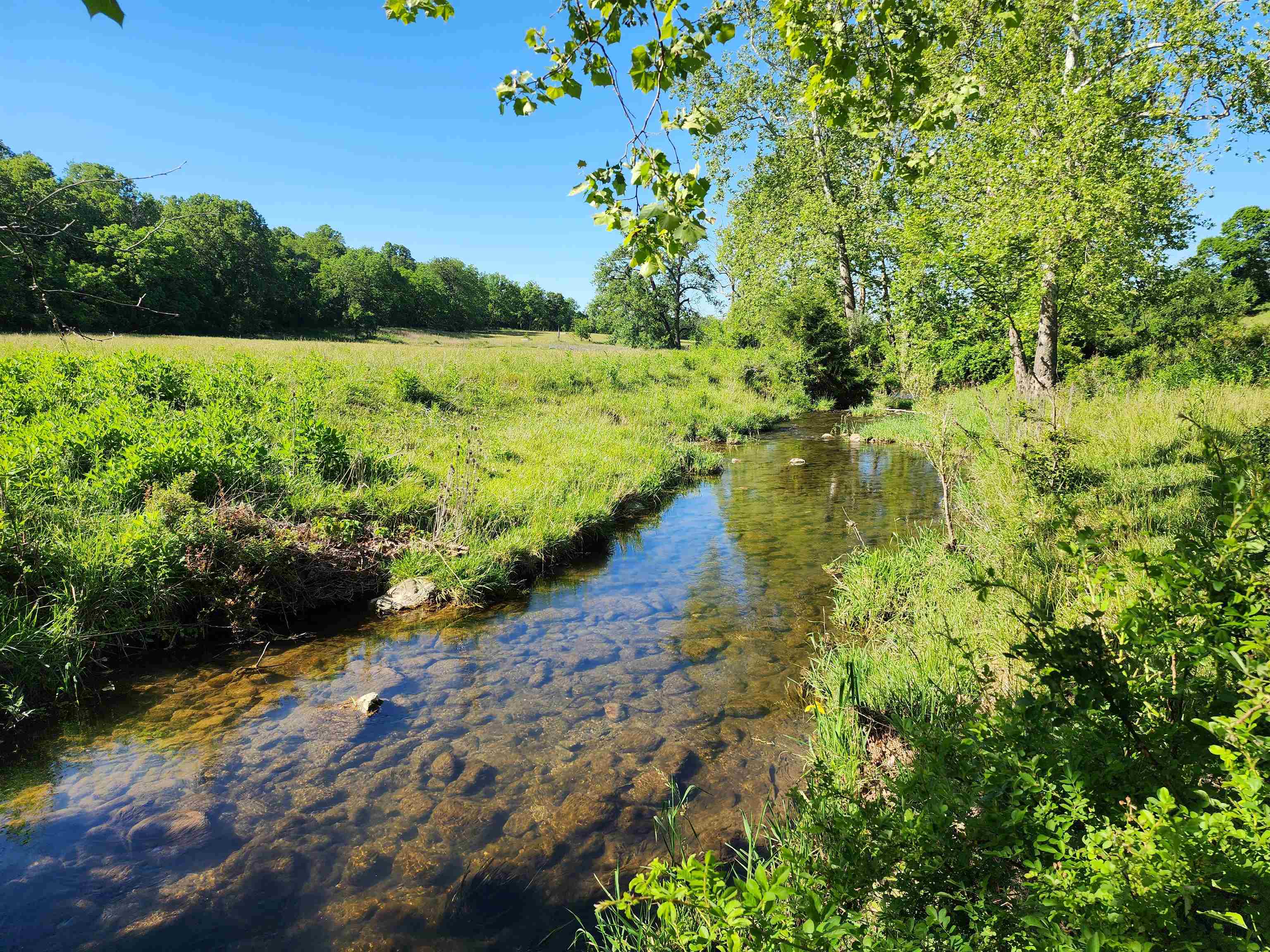 TBD INDIAN TRAIL RD, PENN LAIRD, Virginia 22846, ,Land,14,TBD INDIAN TRAIL RD,678406 MLS # 678406 TBD INDIAN TRAIL RD, PENN LAIRD, Virginia 22846, ,Land,14,TBD INDIAN TRAIL RD,678406 MLS # 678406