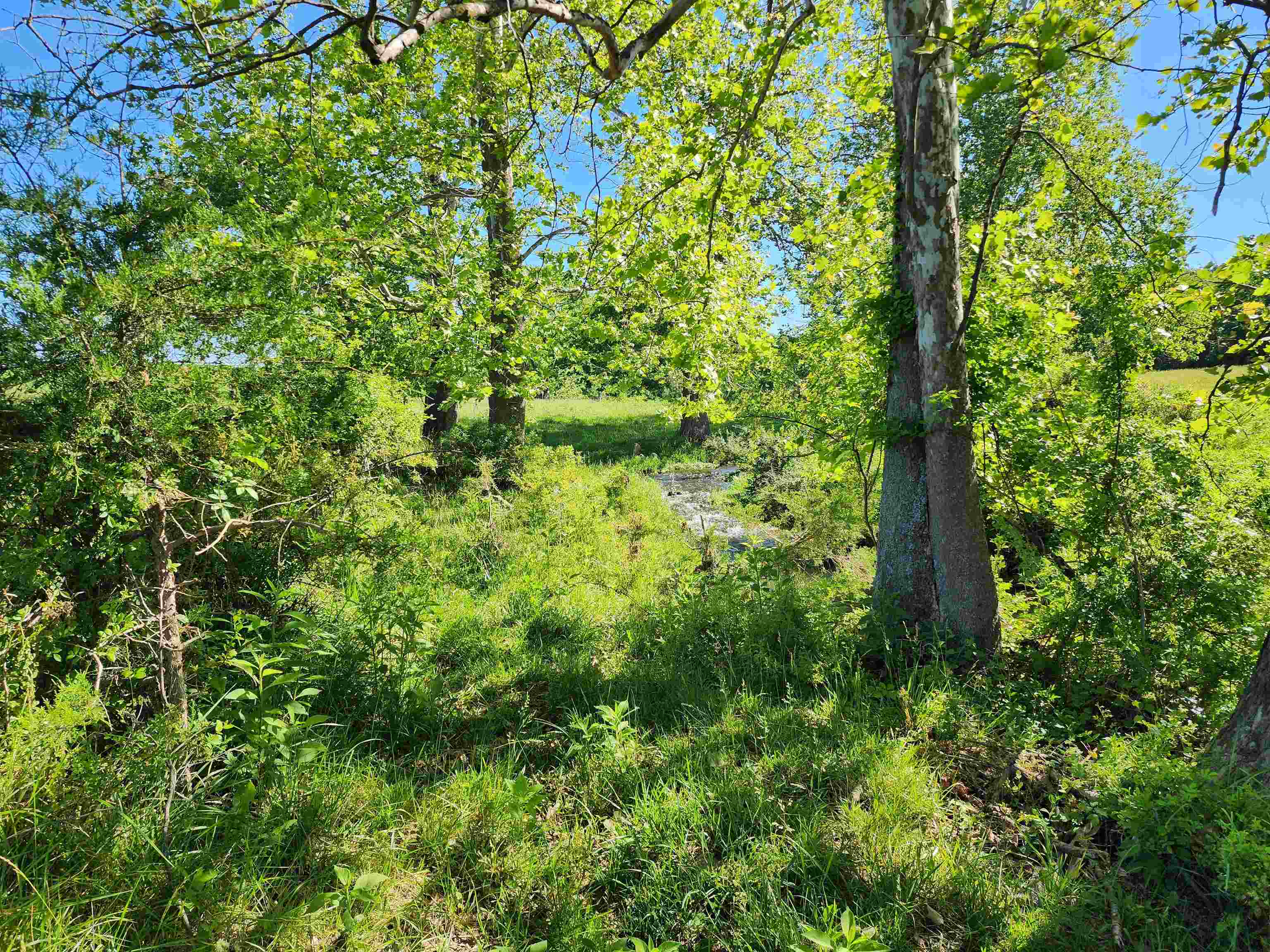 TBD INDIAN TRAIL RD, PENN LAIRD, Virginia 22846, ,Land,14,TBD INDIAN TRAIL RD,678406 MLS # 678406 TBD INDIAN TRAIL RD, PENN LAIRD, Virginia 22846, ,Land,14,TBD INDIAN TRAIL RD,678406 MLS # 678406