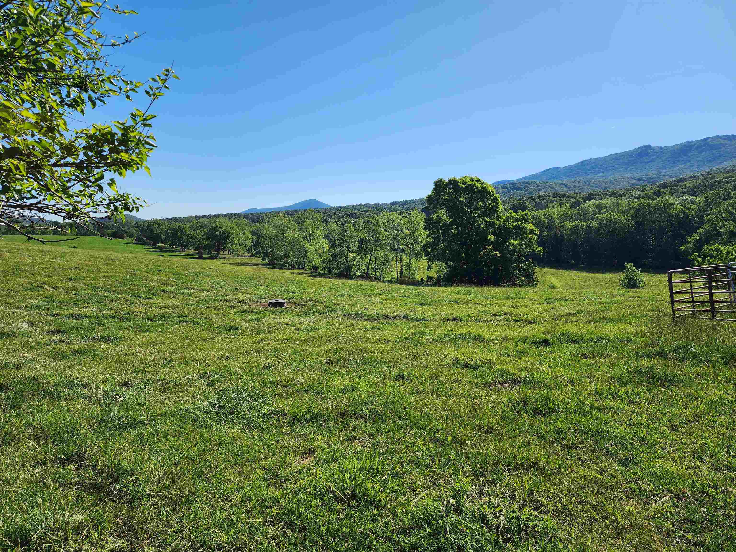 TBD INDIAN TRAIL RD, PENN LAIRD, Virginia 22846, ,Land,14,TBD INDIAN TRAIL RD,678406 MLS # 678406 TBD INDIAN TRAIL RD, PENN LAIRD, Virginia 22846, ,Land,14,TBD INDIAN TRAIL RD,678406 MLS # 678406
