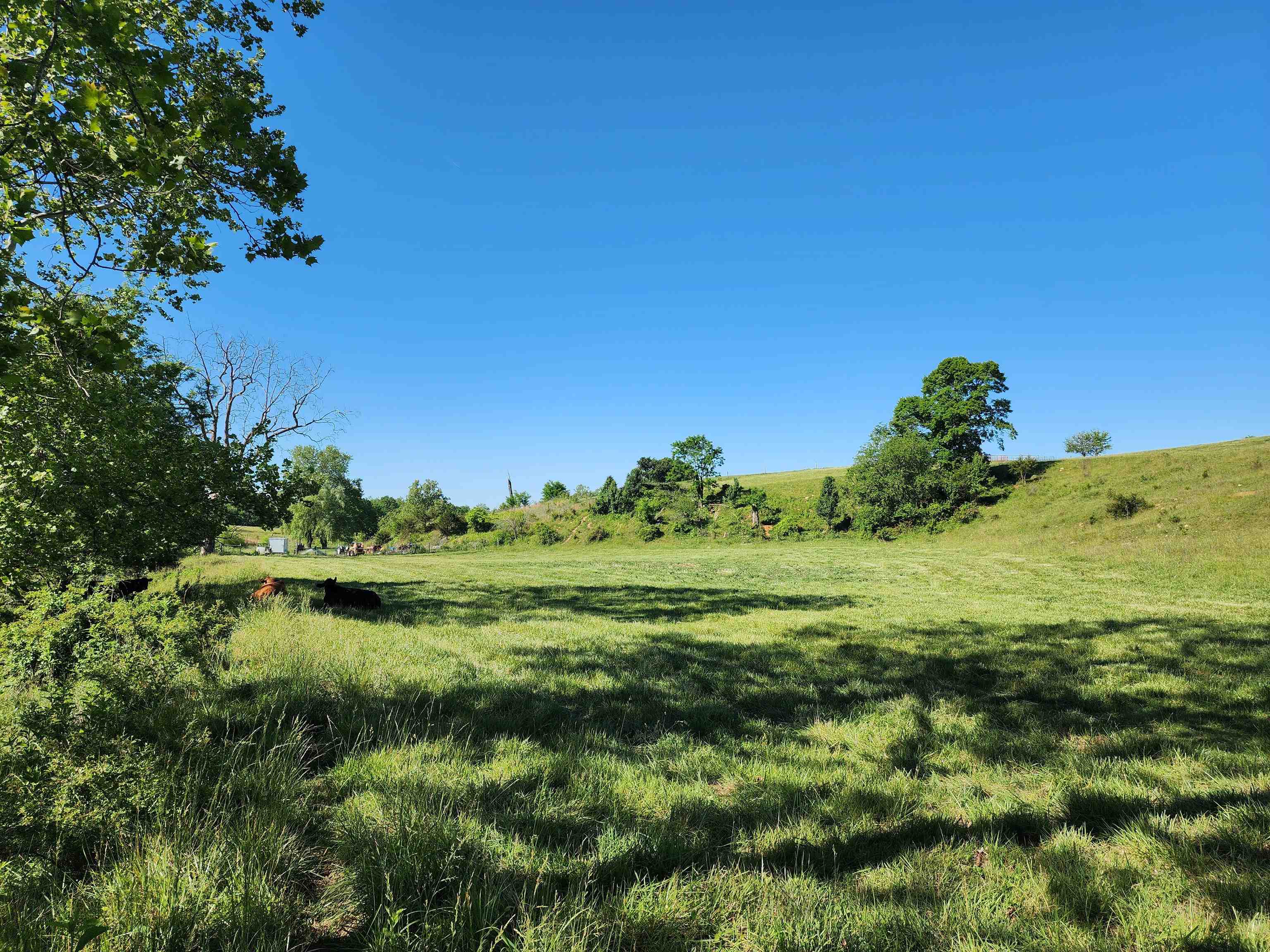 TBD INDIAN TRAIL RD, PENN LAIRD, Virginia 22846, ,Land,14,TBD INDIAN TRAIL RD,678406 MLS # 678406 TBD INDIAN TRAIL RD, PENN LAIRD, Virginia 22846, ,Land,14,TBD INDIAN TRAIL RD,678406 MLS # 678406