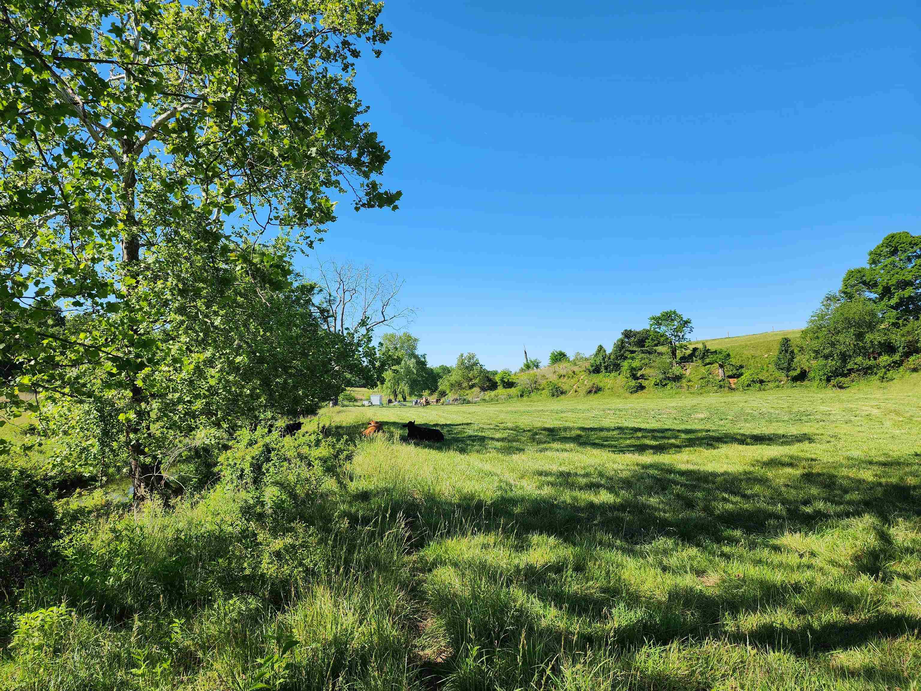 TBD INDIAN TRAIL RD, PENN LAIRD, Virginia 22846, ,Land,14,TBD INDIAN TRAIL RD,678406 MLS # 678406 TBD INDIAN TRAIL RD, PENN LAIRD, Virginia 22846, ,Land,14,TBD INDIAN TRAIL RD,678406 MLS # 678406