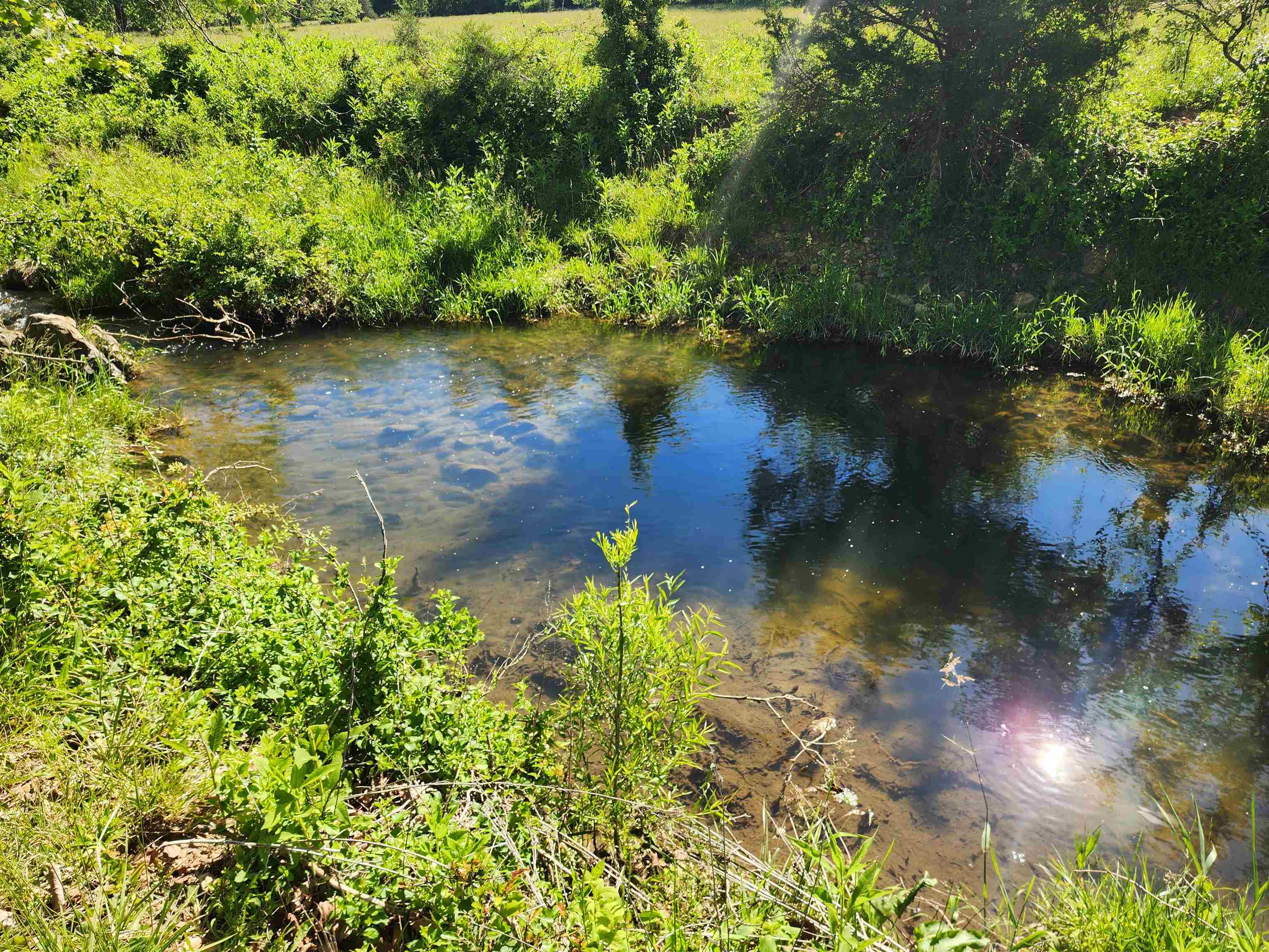 TBD INDIAN TRAIL RD, PENN LAIRD, Virginia 22846, ,Land,14,TBD INDIAN TRAIL RD,678406 MLS # 678406 TBD INDIAN TRAIL RD, PENN LAIRD, Virginia 22846, ,Land,14,TBD INDIAN TRAIL RD,678406 MLS # 678406